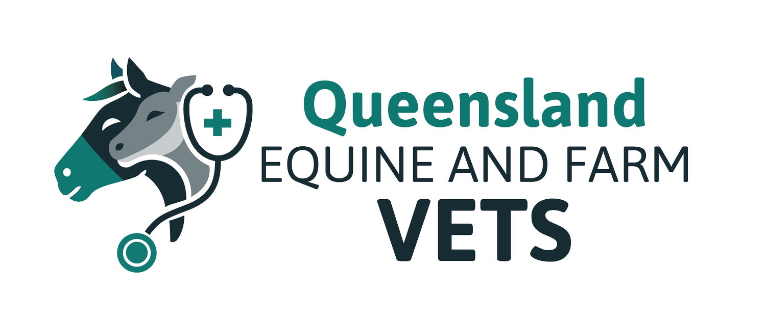 QEF Vets