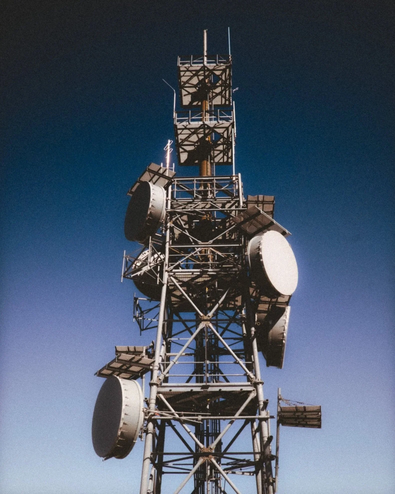 _DSF9622.jpg