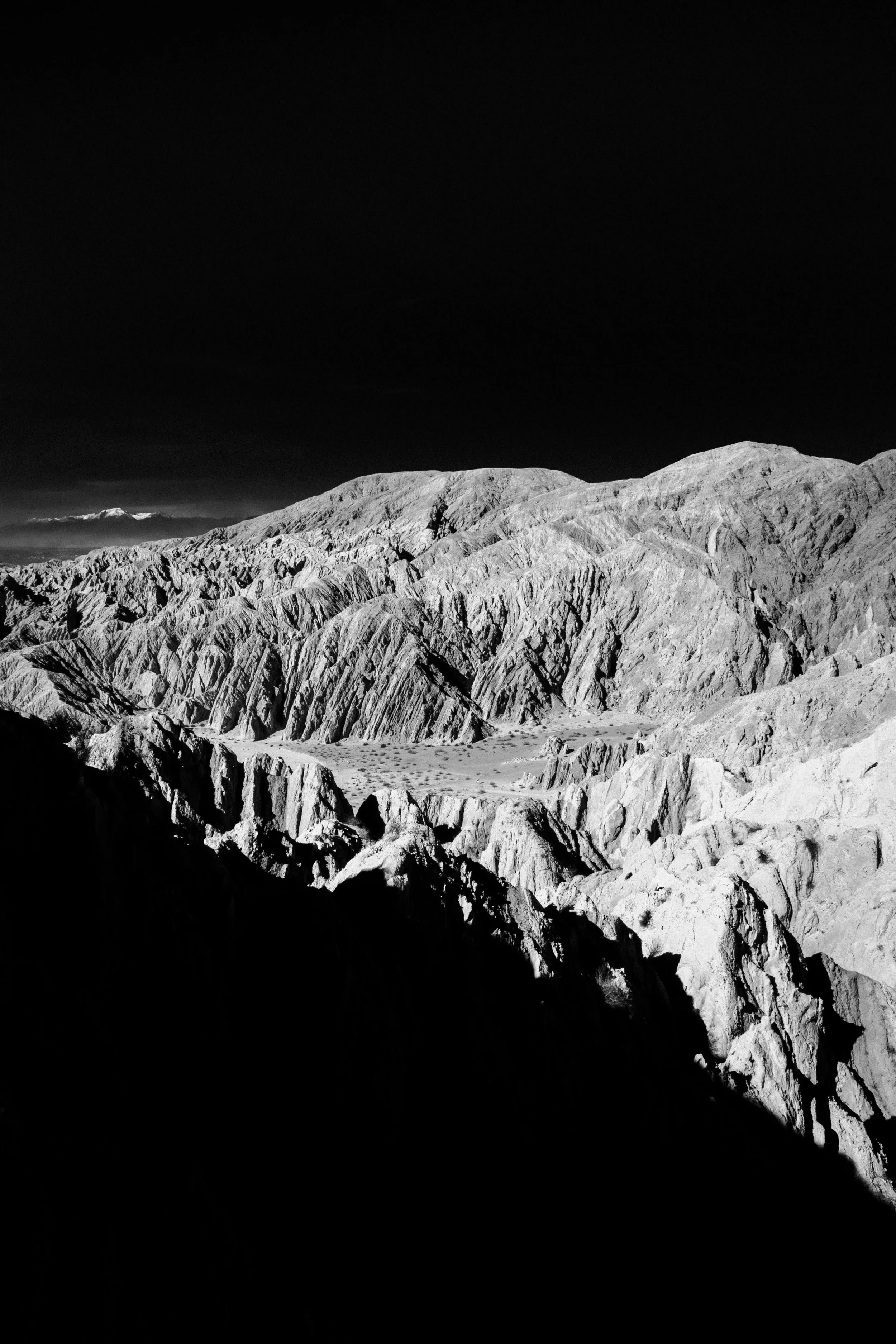 SP010769.jpg