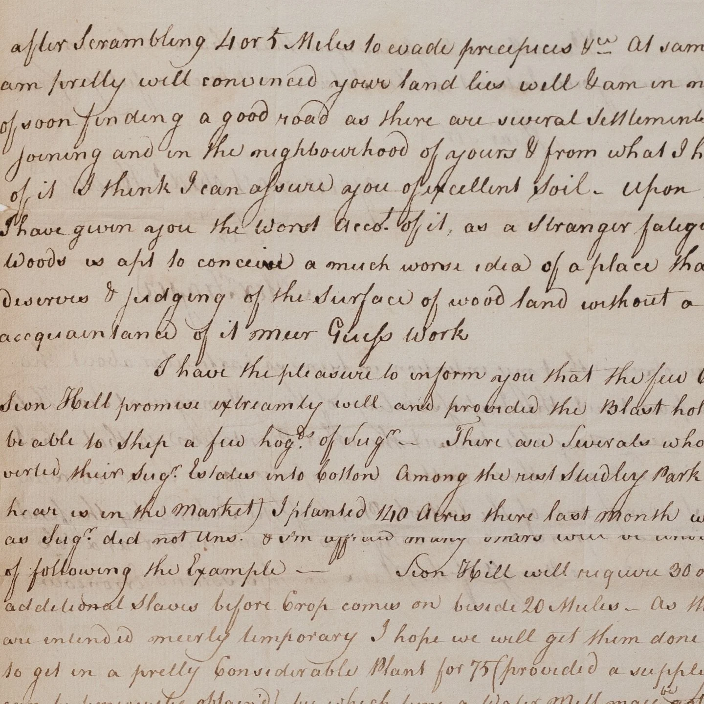 A letter from Tobago, 1773.

Routine estate correspondence.

Concerning land, production and planning.

Within it, decisions about enslaved people written in the same hand, in the same tone.

These are administrative records, that show how a system w