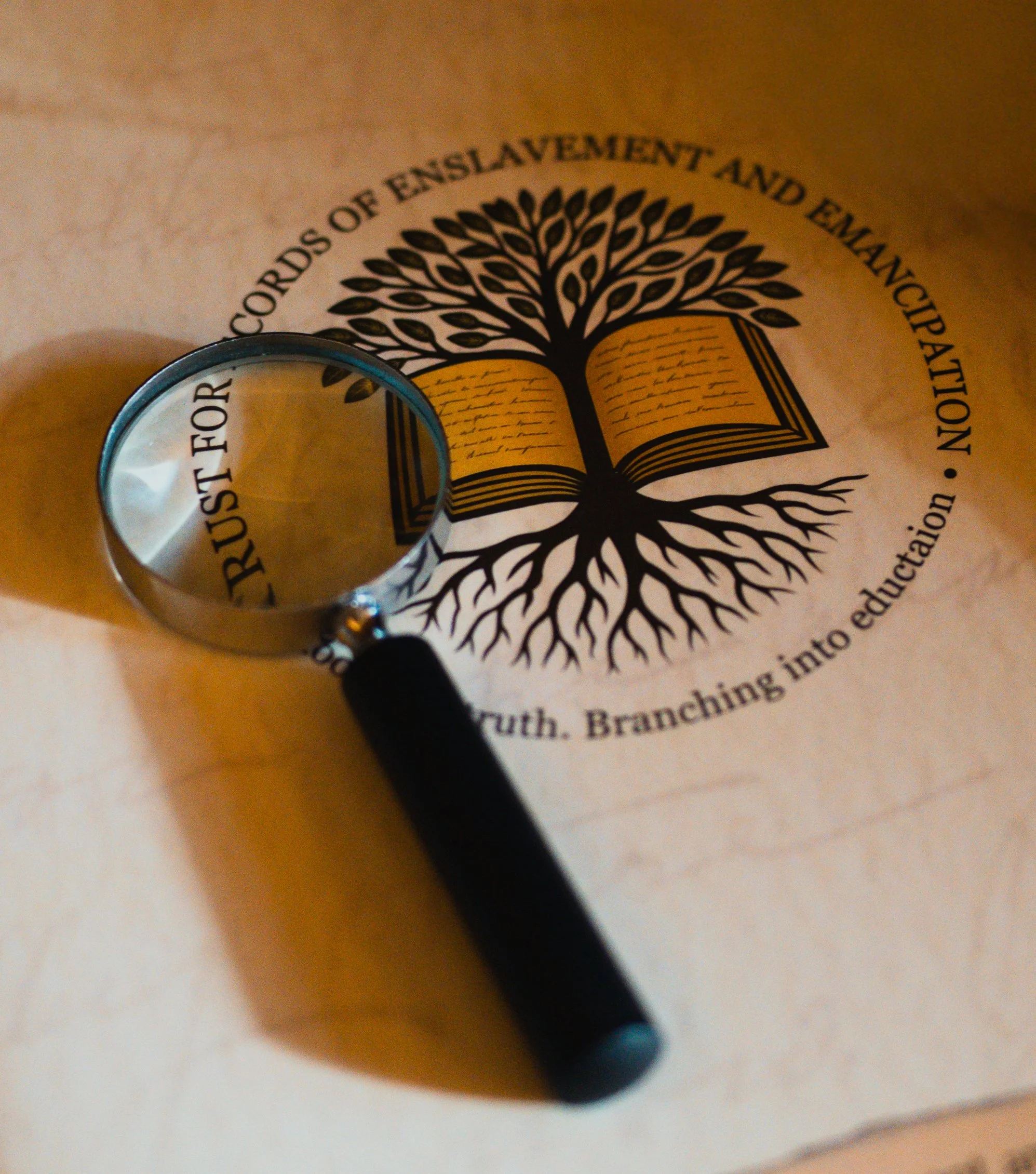 A magnifying glass placed on a document with a logo of a TREE, with a tree growing from it, and text around it that reads 'Records of Enslavement and Emancipation' and 'Branching into education'.