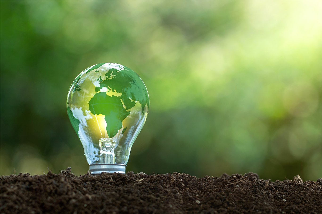 A lightbulb on soil with a transparent globe of Earth inside, reflecting land and water, symbolizing environmental awareness.