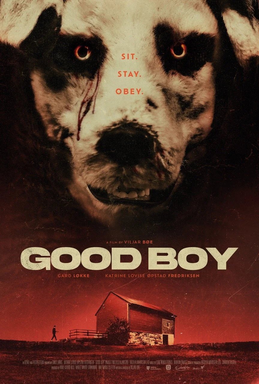 Good Boy plakat web.jpeg