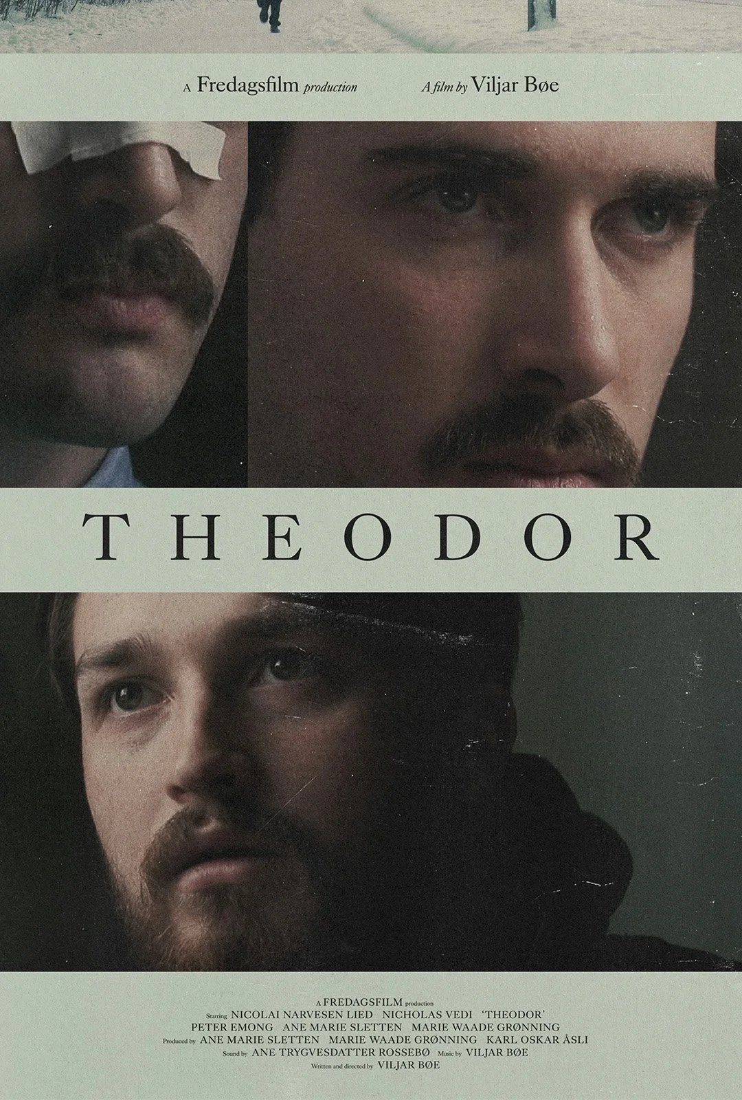 Theodor one sheet web.jpg