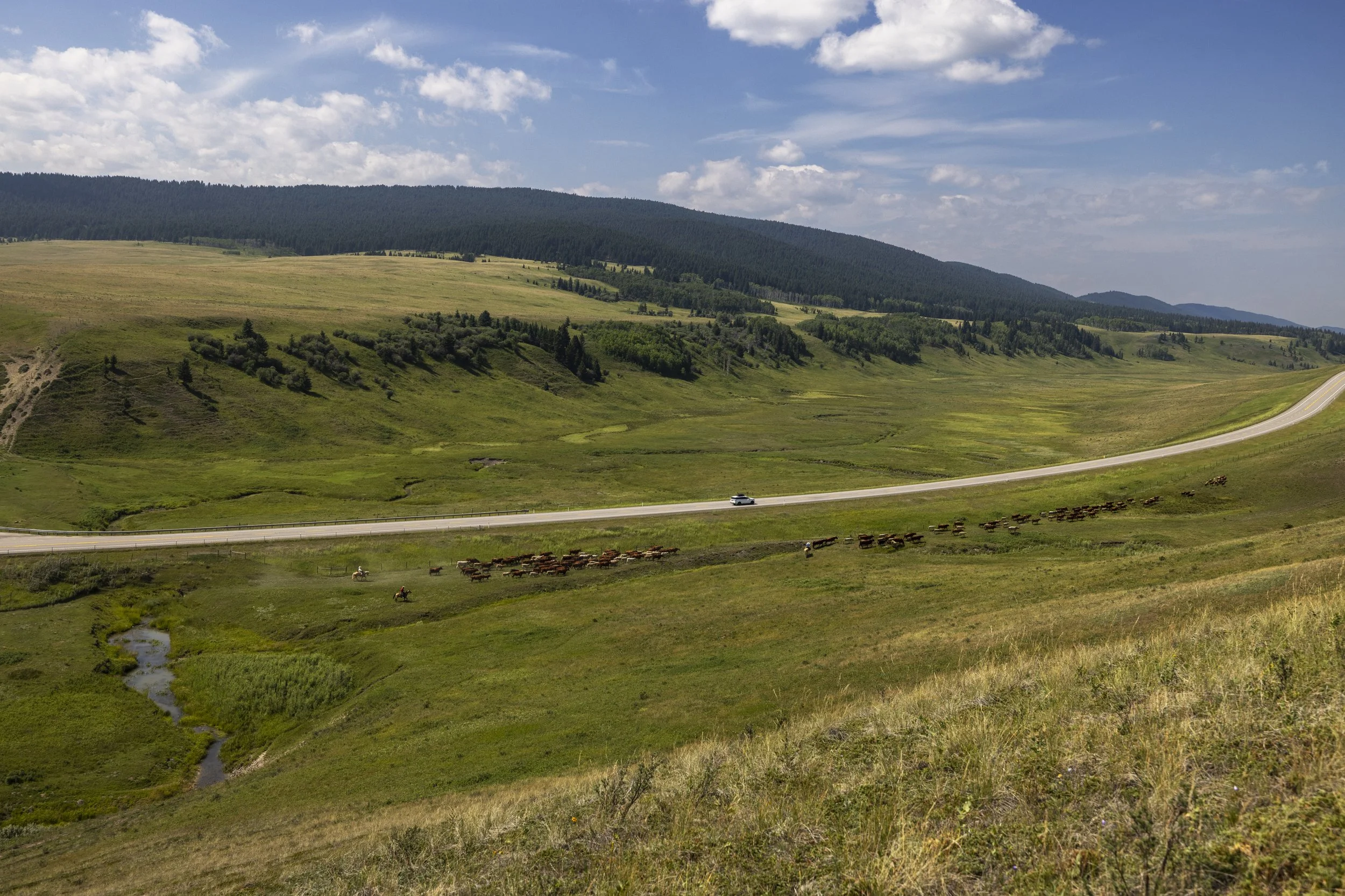 Cowboy Trail AB, C&B Advertising