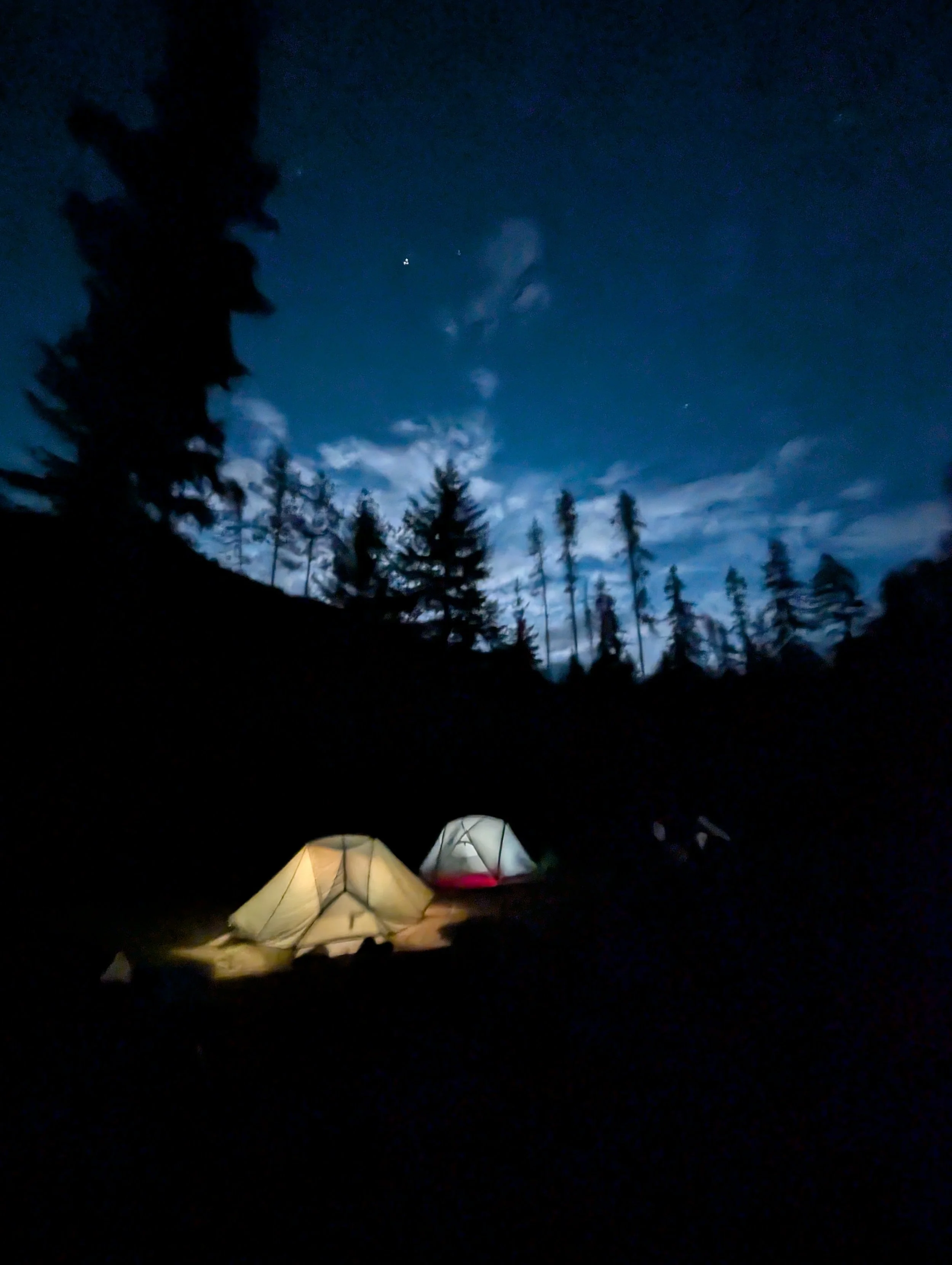PXL_20250513_051651115.NIGHT.jpg