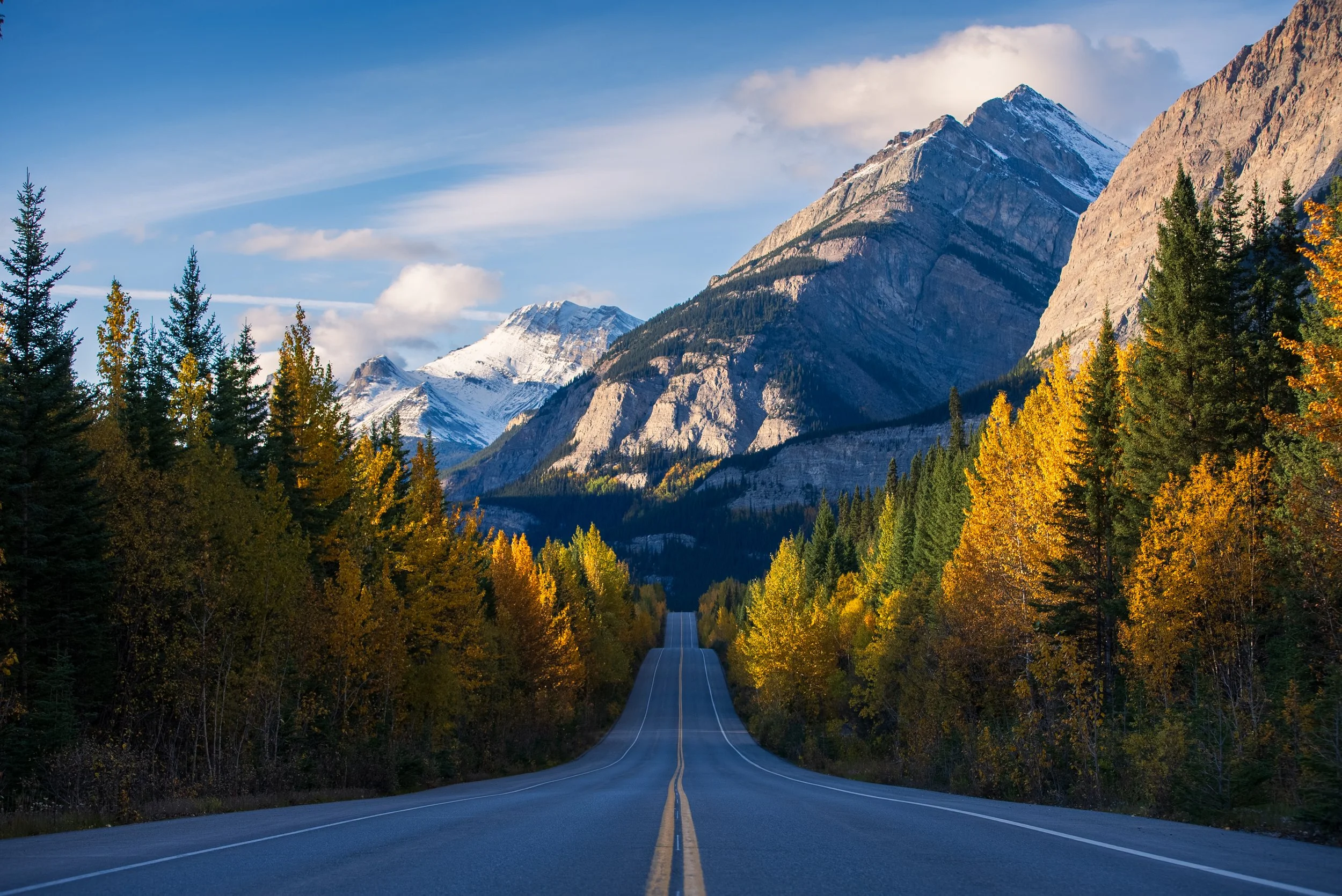 Icefields Parkway, Silver Fern Productions