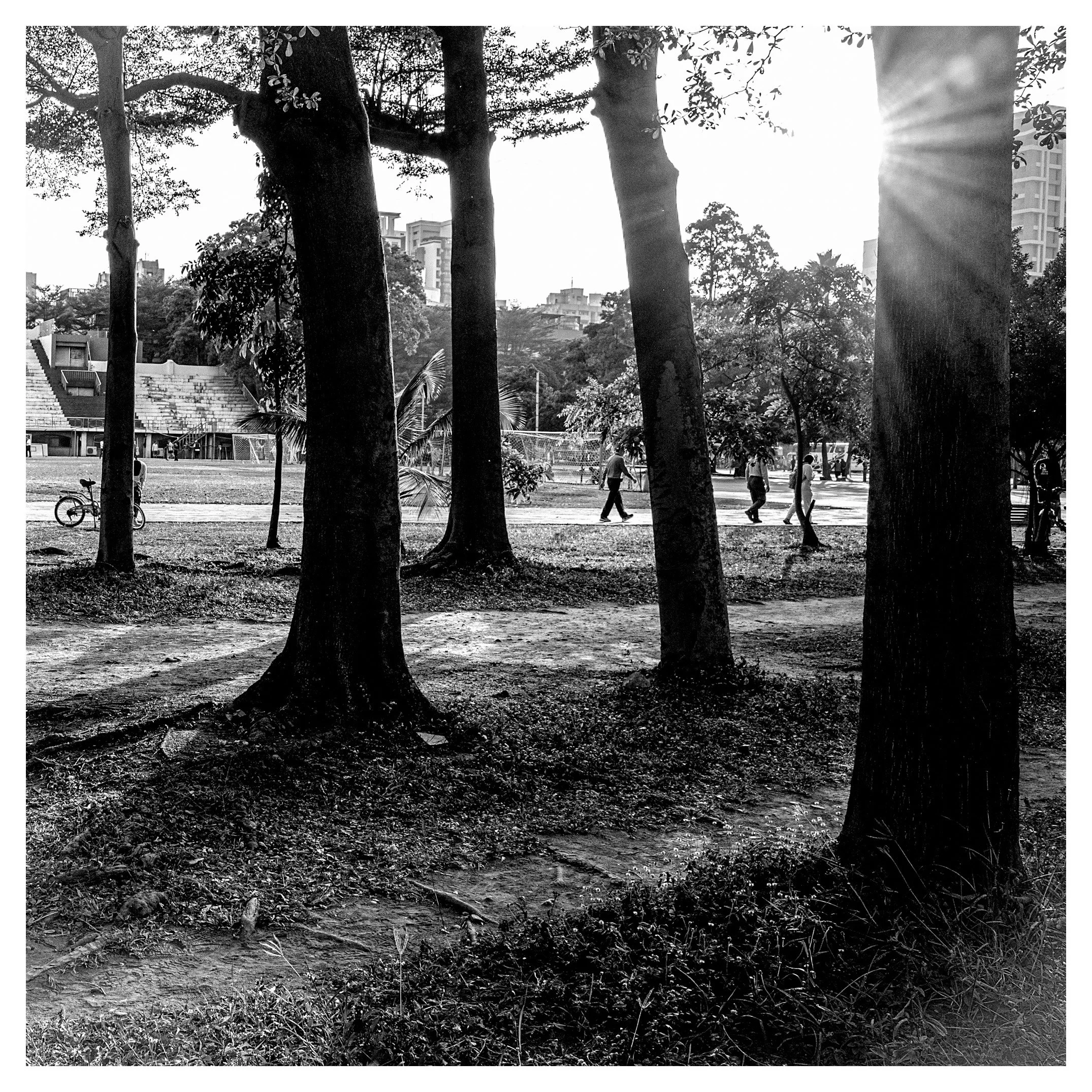 Day 84/365 The Reluctant Shutter: Finding Art in Fatigue