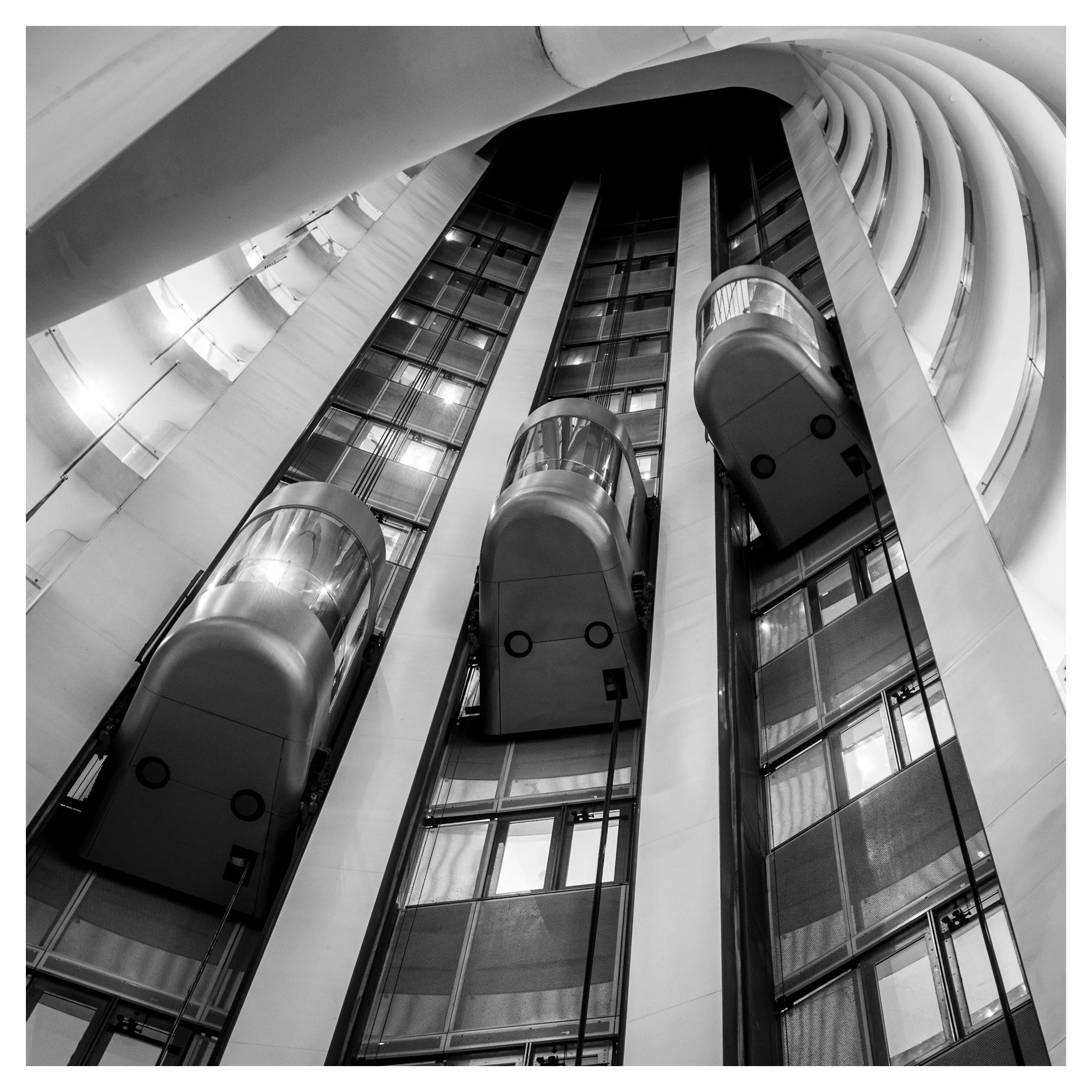 Day 96/365 Vertical Vertigo: Finding the Pulse in the Brutalist Void