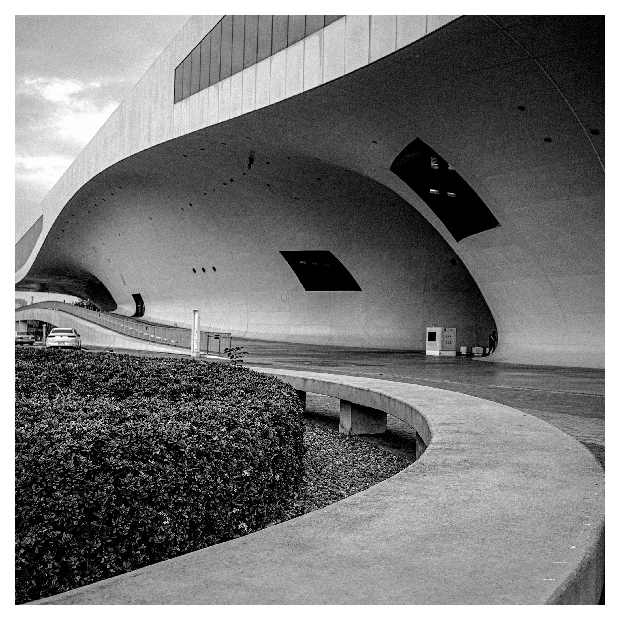 Day 79/365 Concrete Waves & Shadow Play: Finding the Curve in the Concrete