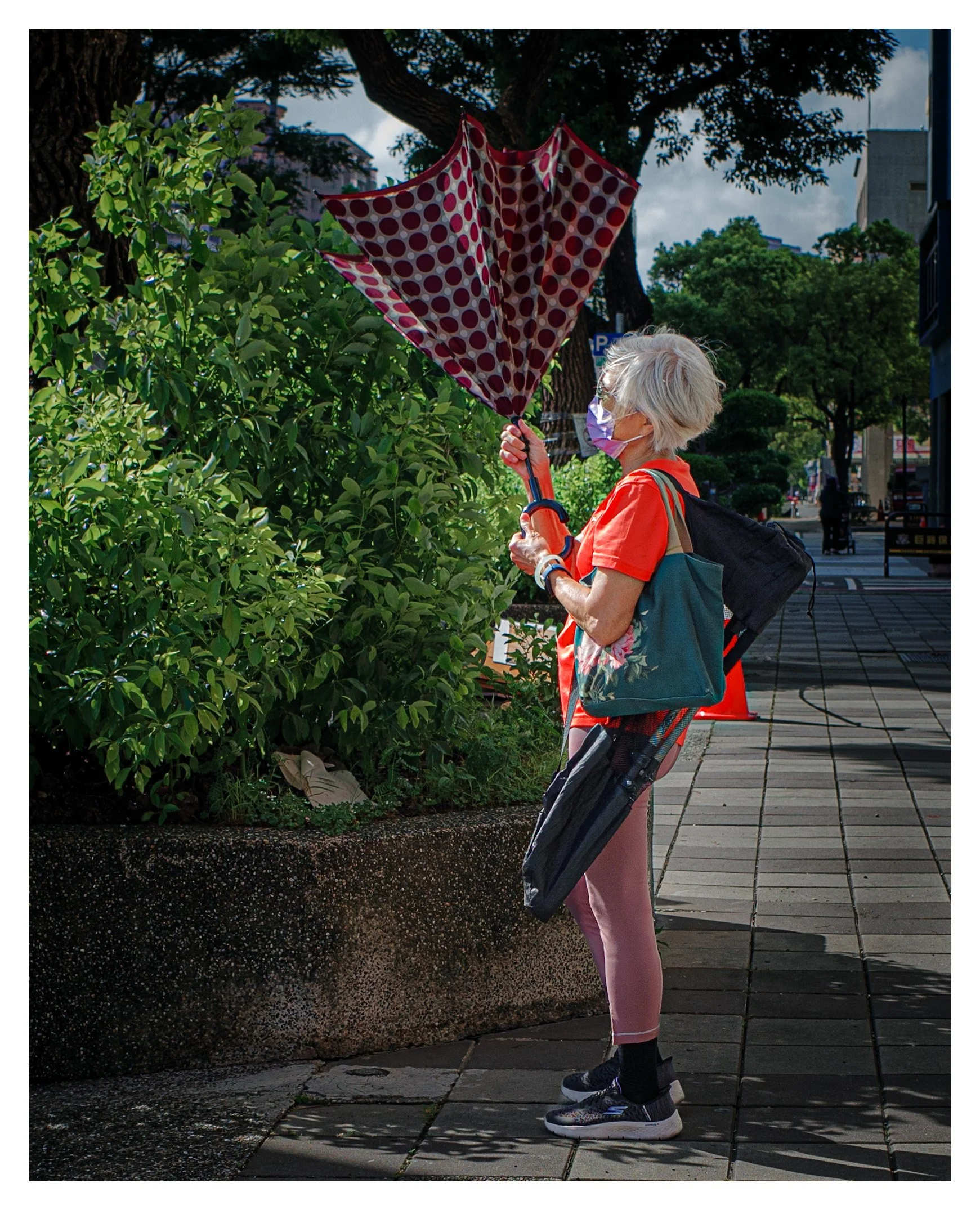 Day 266/365 Against the Wind: The Umbrella Duel of a Kaohsiung Afternoon