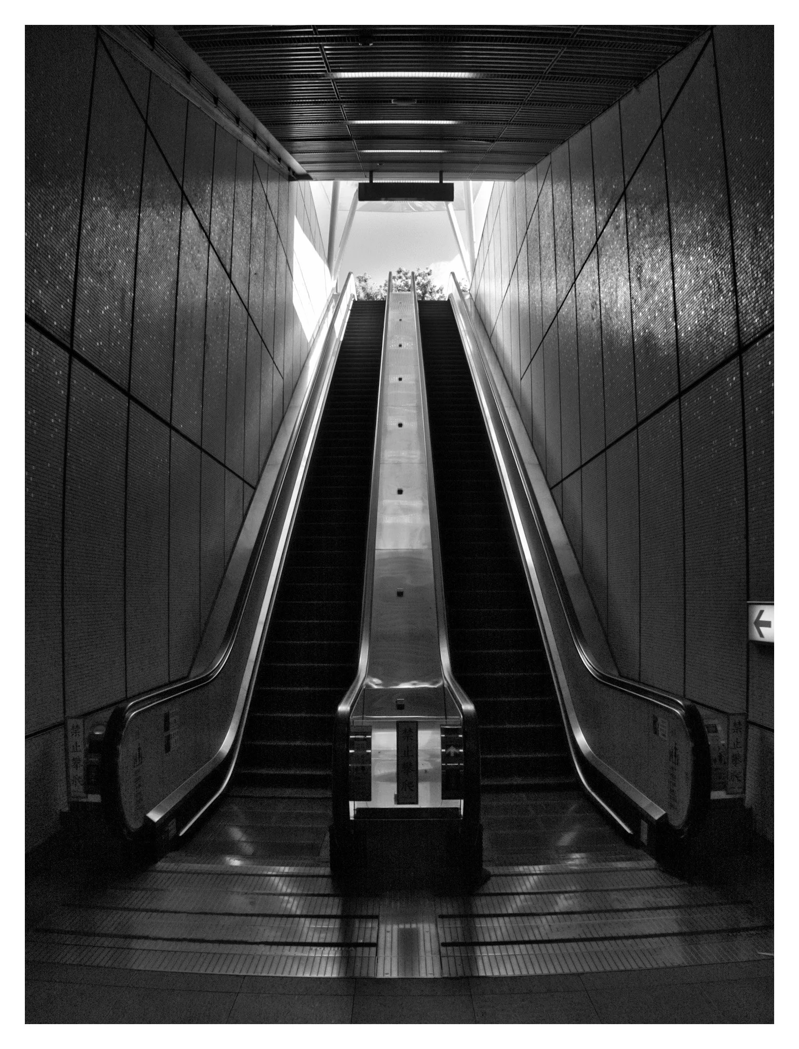 Day 216/365 Rising Into the Light: Mastering Geometry in the Urban Landscape