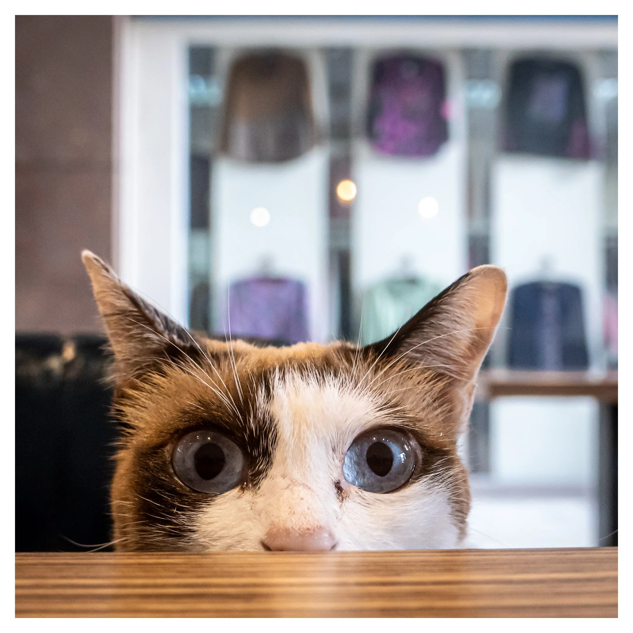 Day 59/365 The Decisive Blink: Finding the Soul in the Mundane