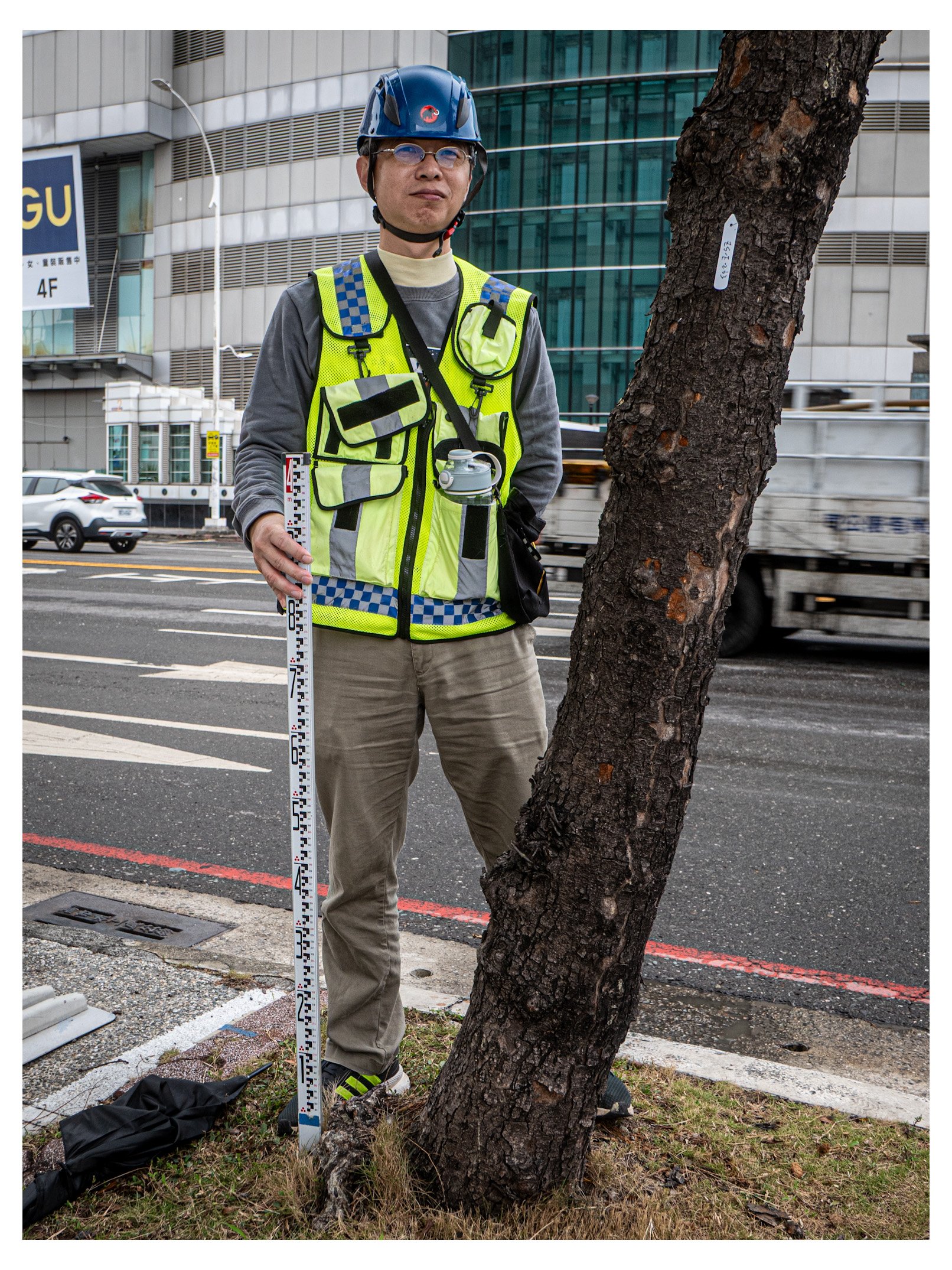 Day 66/356 Standing Tall: The Dignity of the Urban Steward