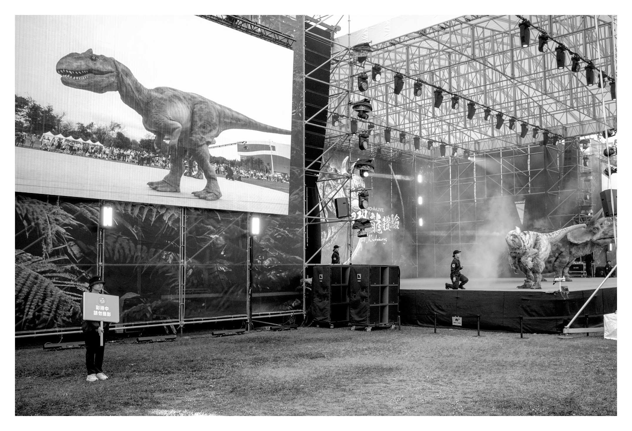 Day 163/365 Prehistoric Shadows: The Surreal Stage of Weiwuying