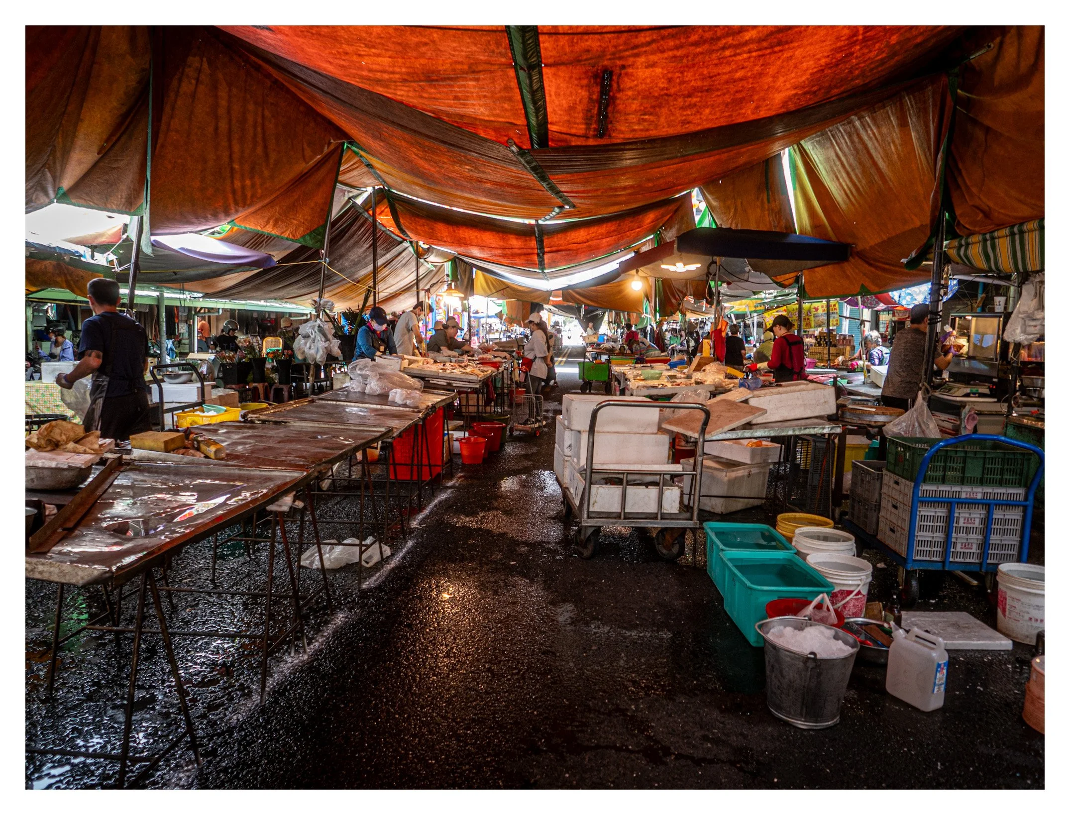 Day 184/365 The Architecture of the Morning: Light and Labor Under the Kaohsiung Canopy