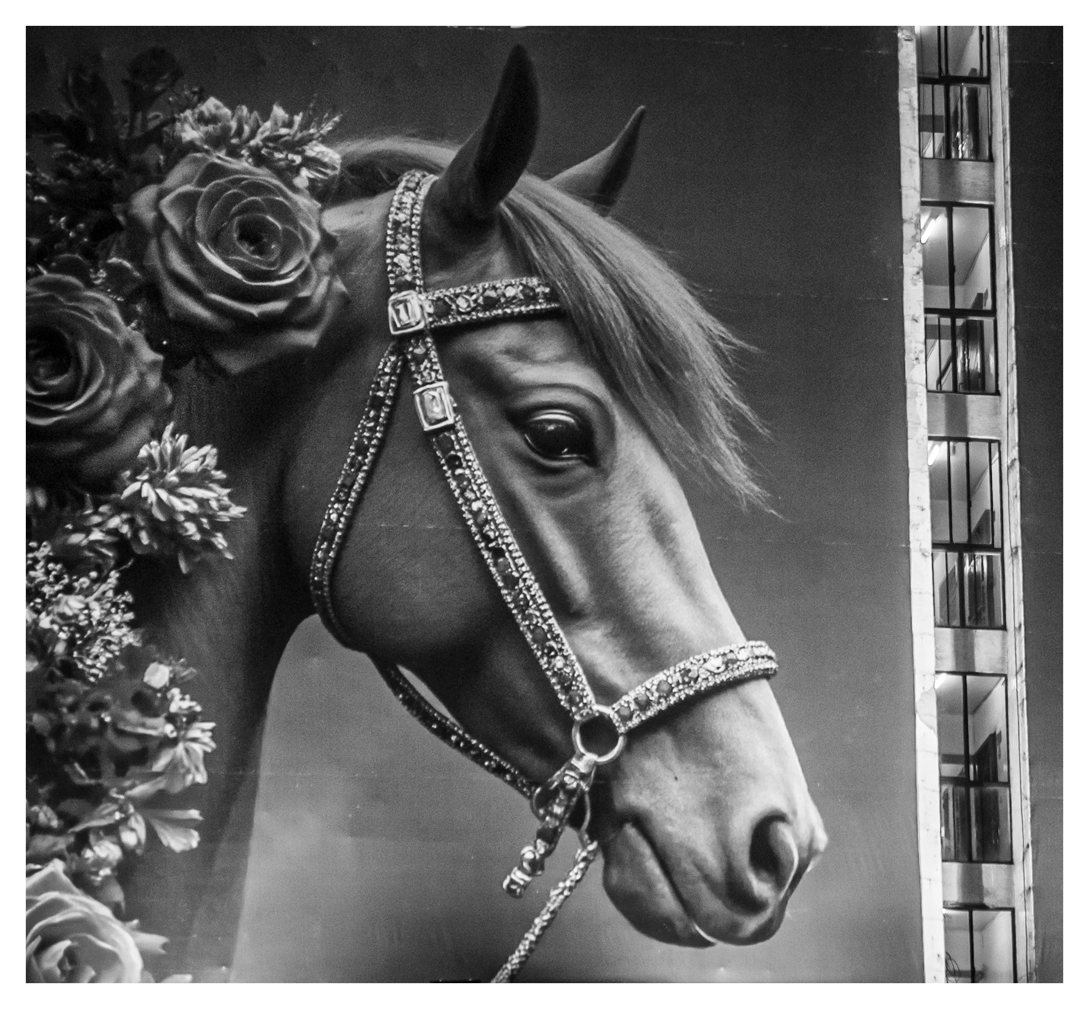 Day 103/365 The Billboard Gaze: When Advertising Meets Architecture