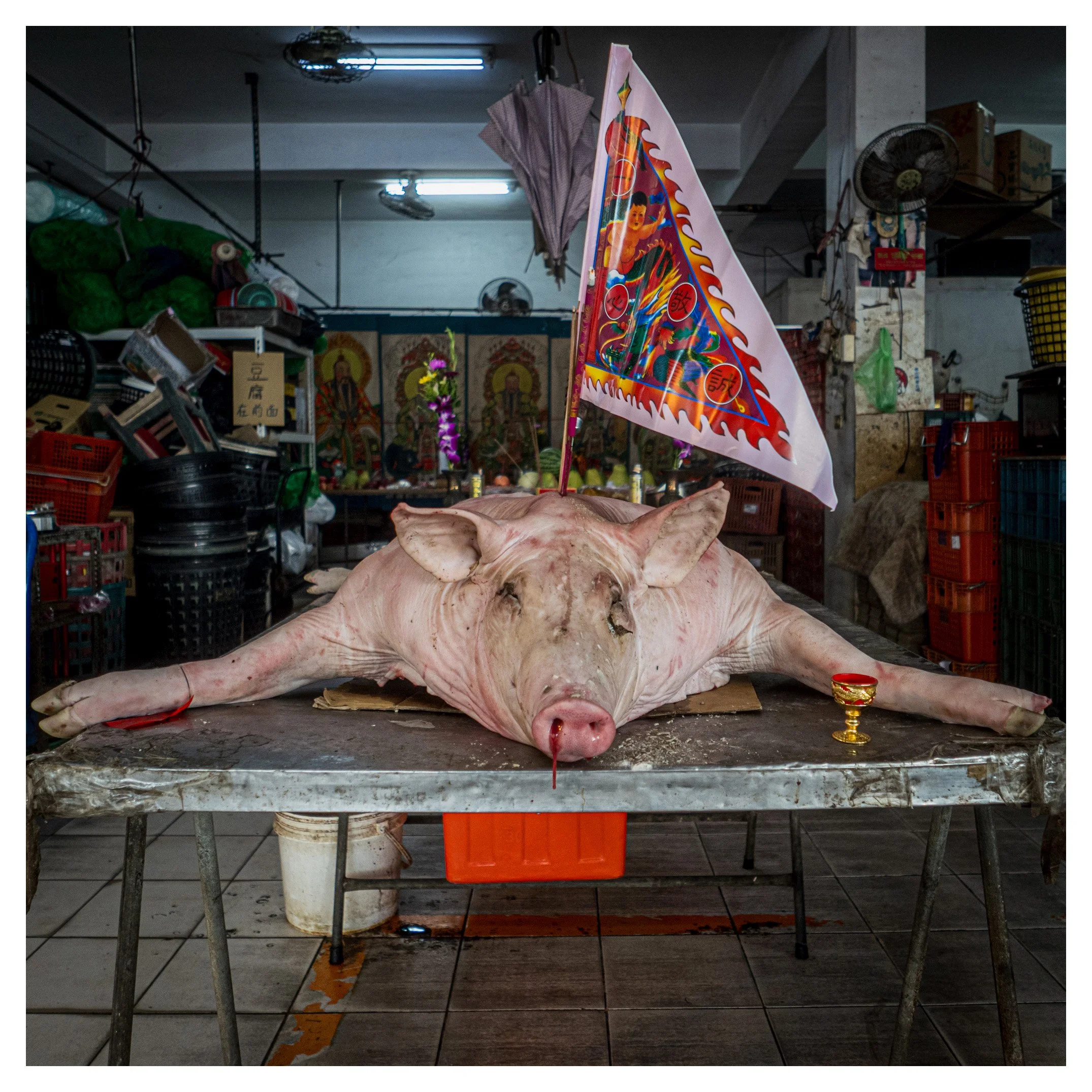 Day 310/365 The Divine Pig: A Study in Offering