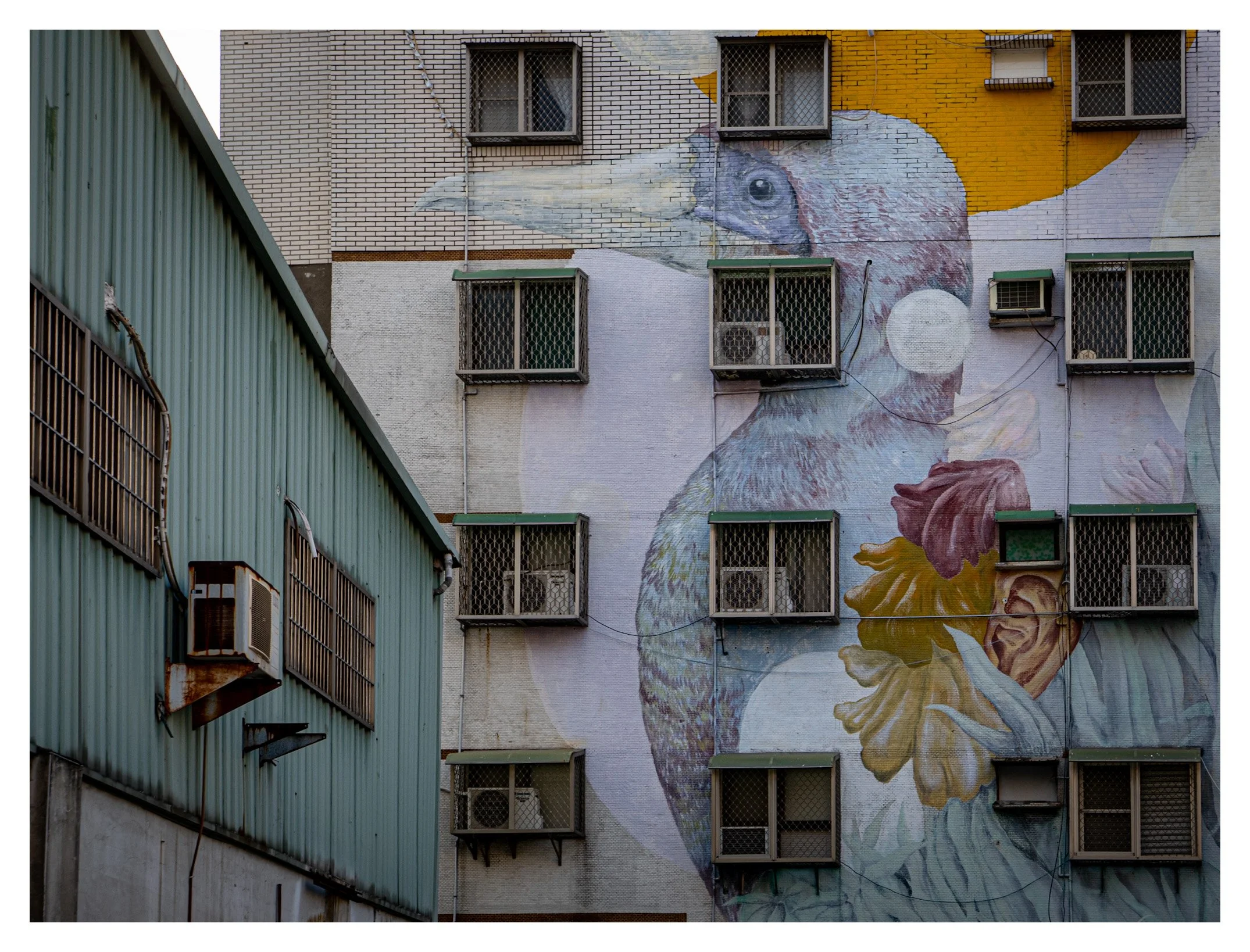 Day 204/365 Urban Giants: Analyzing the Murals of Kaohsiung