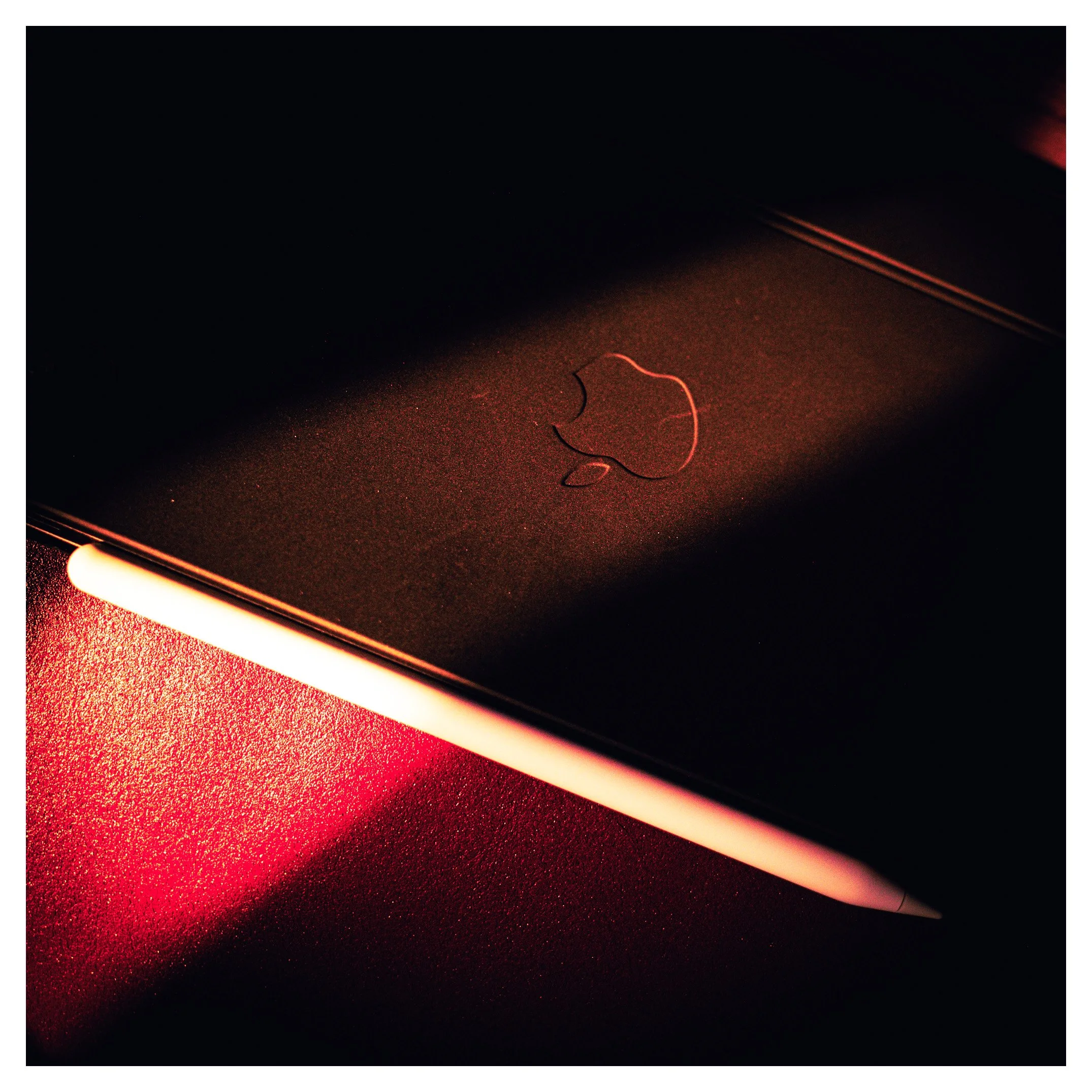Day 282/365 Blade of Light: A Still Life in Red and Shadow