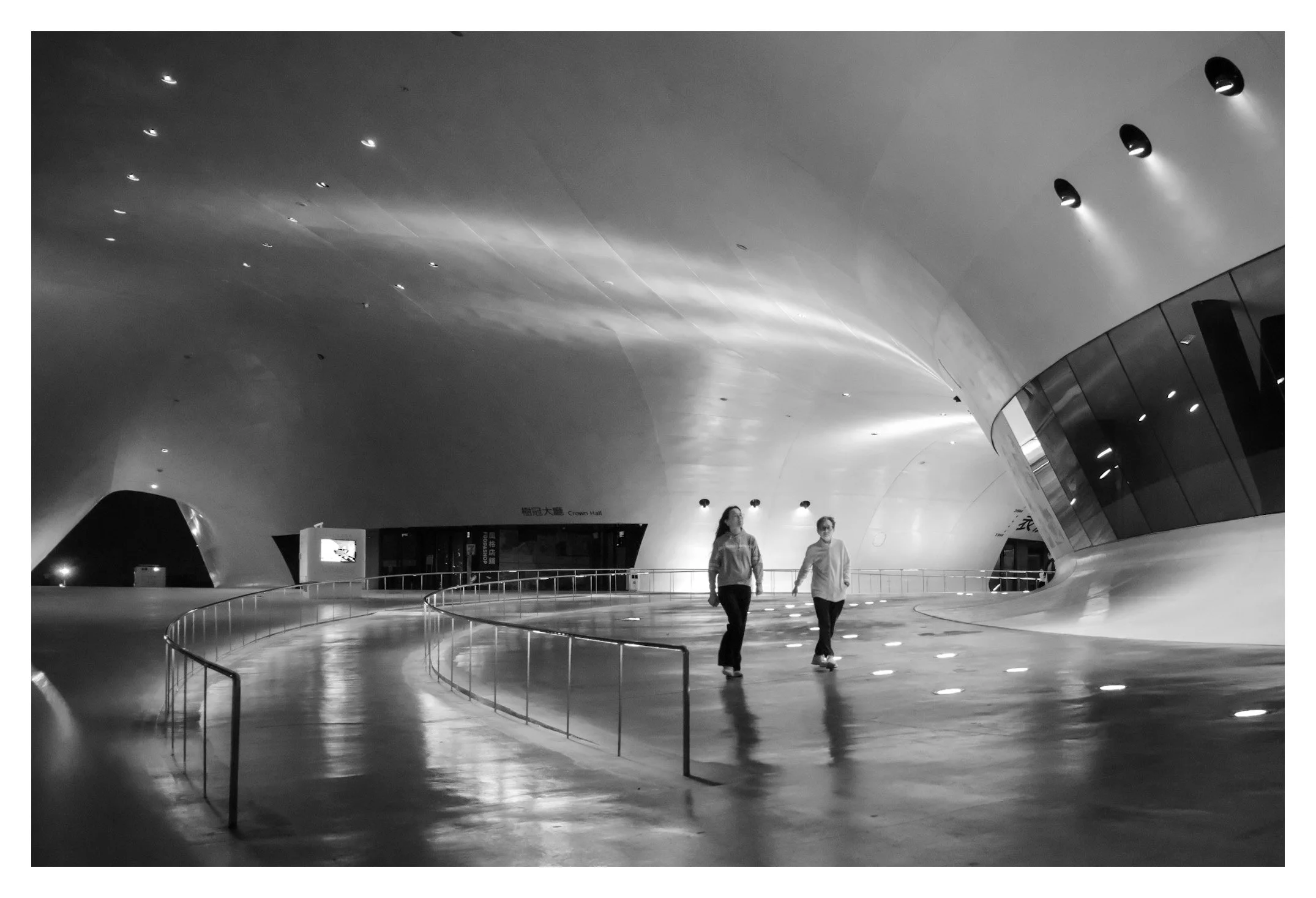 Day 83/365 The Banyan Effect: Capturing Flow in Static Architecture