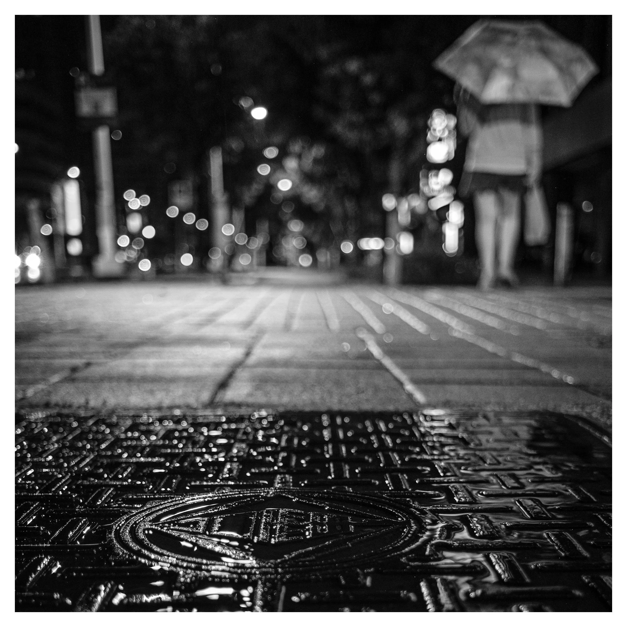 Day 236/365 Low to the Ground: Finding Cinema in a Kaohsiung Downpour