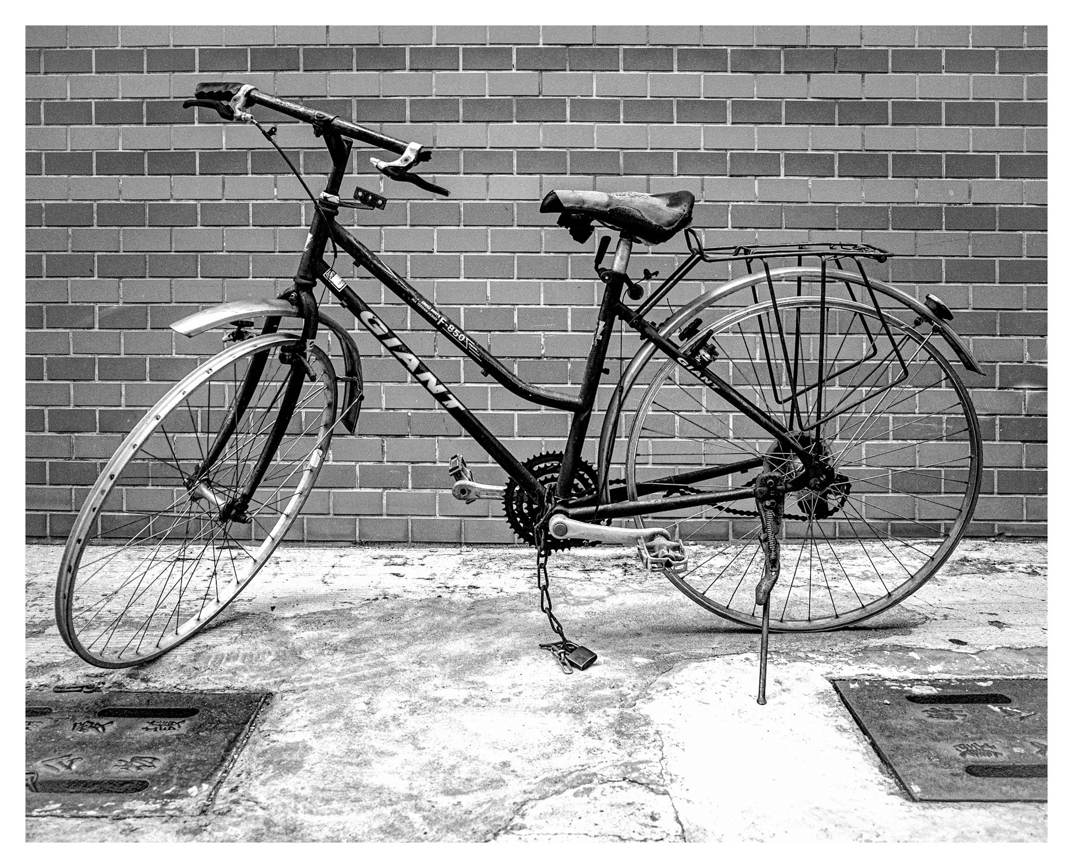 Day 286/365 The Chained Giant: A Portrait of an Abandoned Bicycle