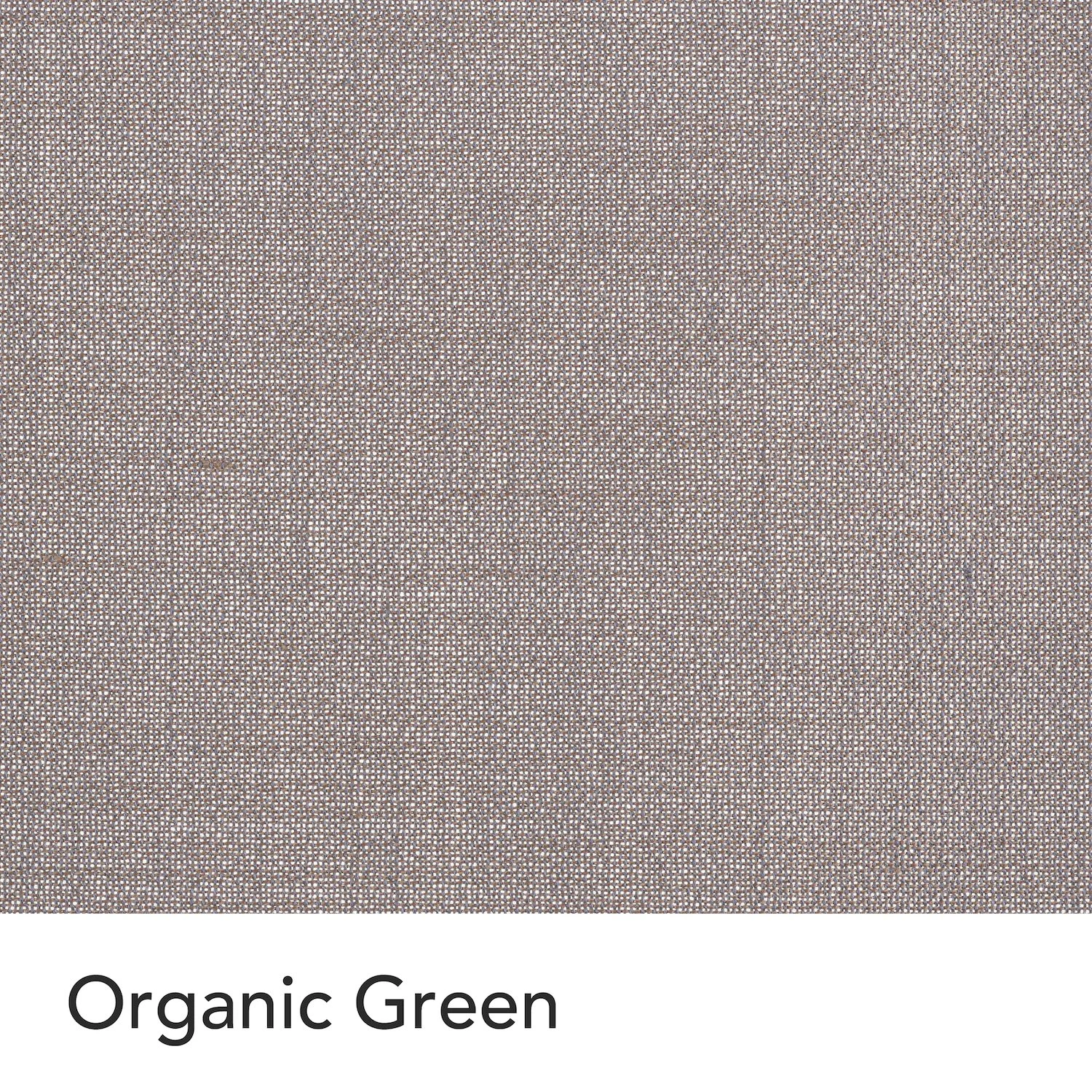 CANVAS_front_Kvadrat_Organic-green.jpeg