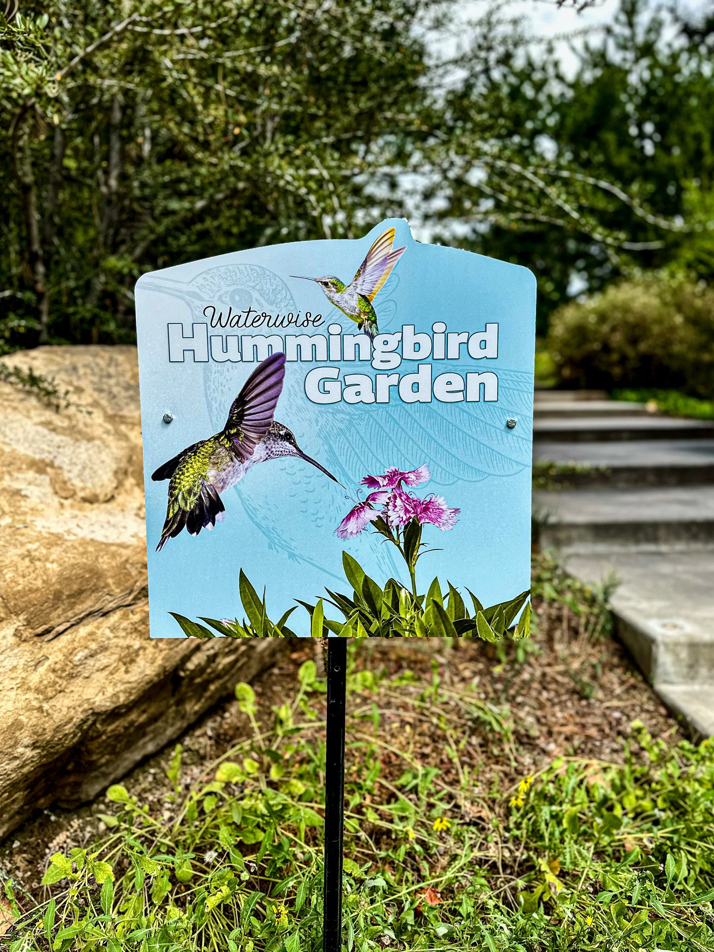 Power_of_Pollinators_Hummingbird_Garden_IMG_1803.jpeg