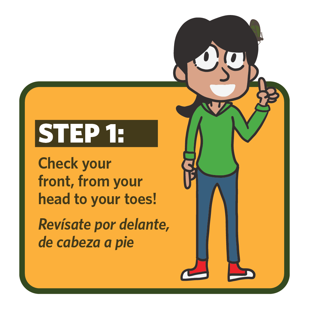 Artwork for vinyl sticker placed in exit vestibule