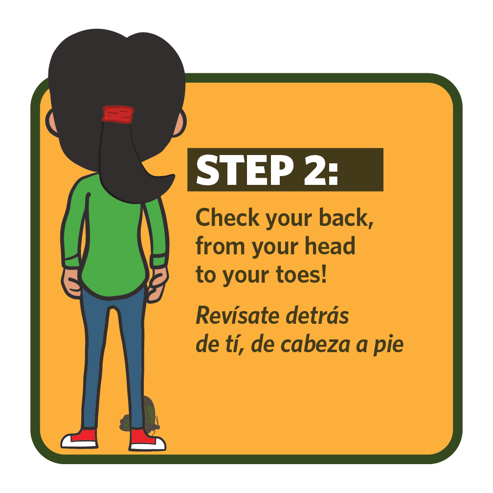 Artwork for vinyl sticker placed in exit vestibule