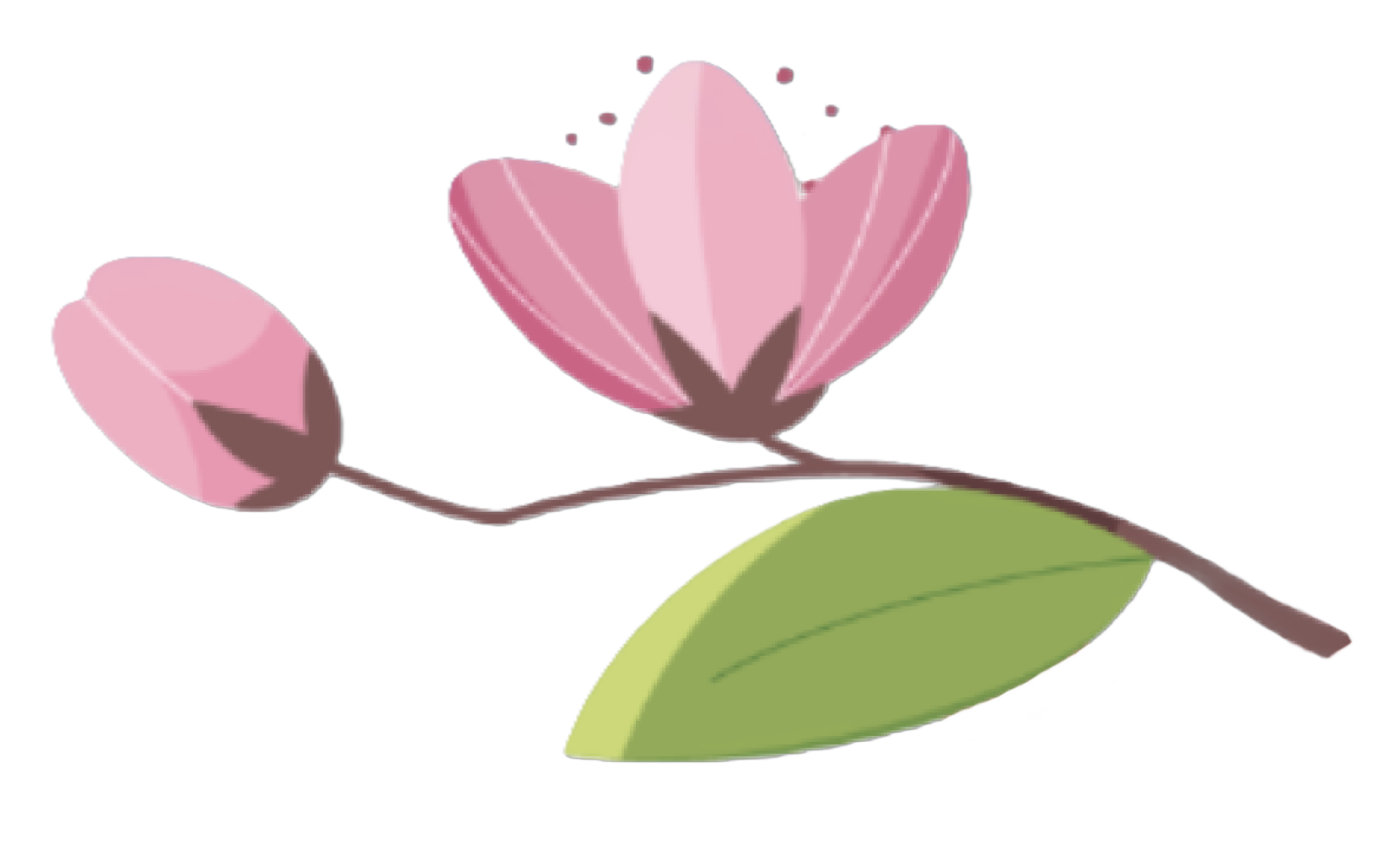 Illustration of a pink cherry blossom with a green leaf.