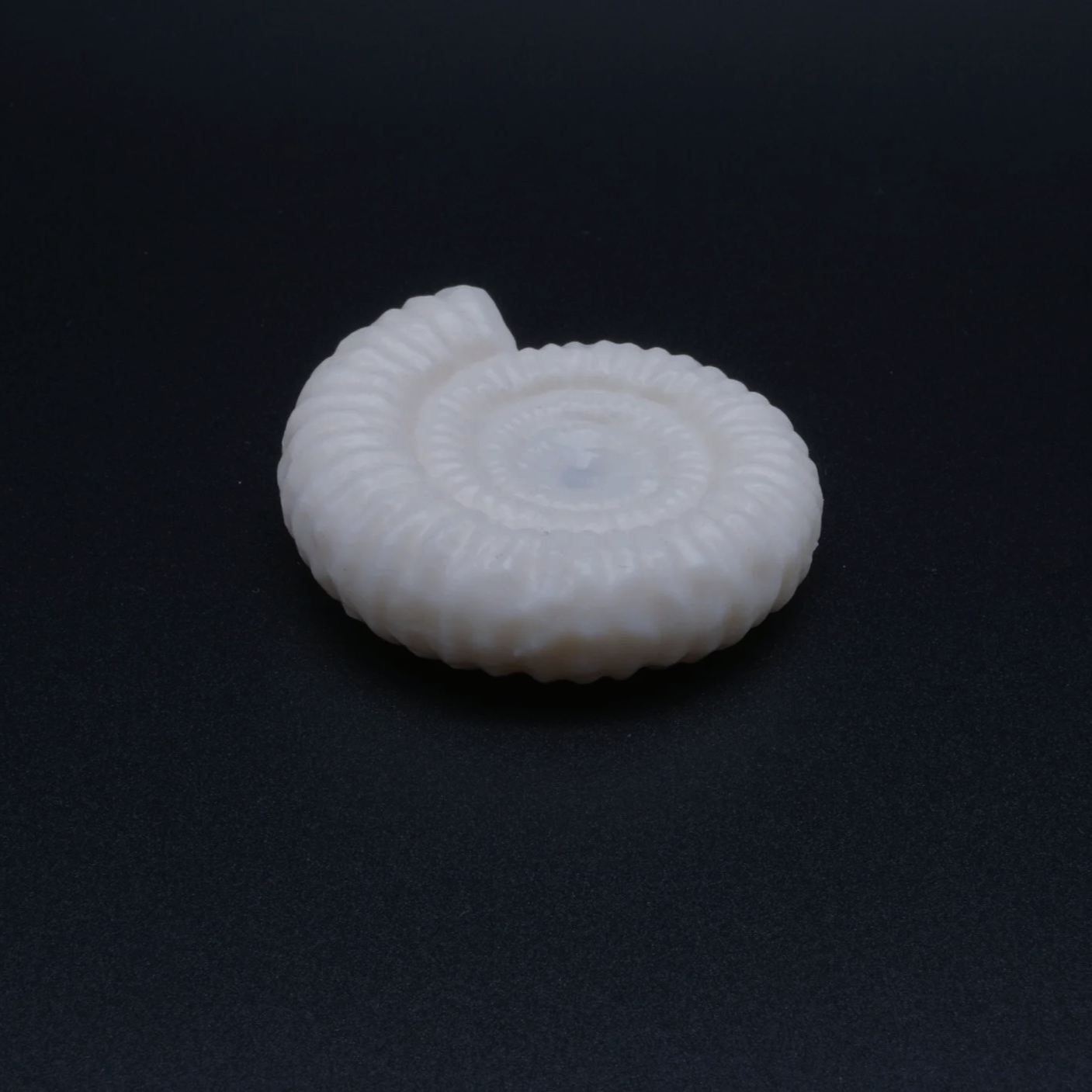 Cremefarbene Resin-Replik eines kleinen Ammoniten, Frontansicht mit sichtbaren Rippen (Copy)