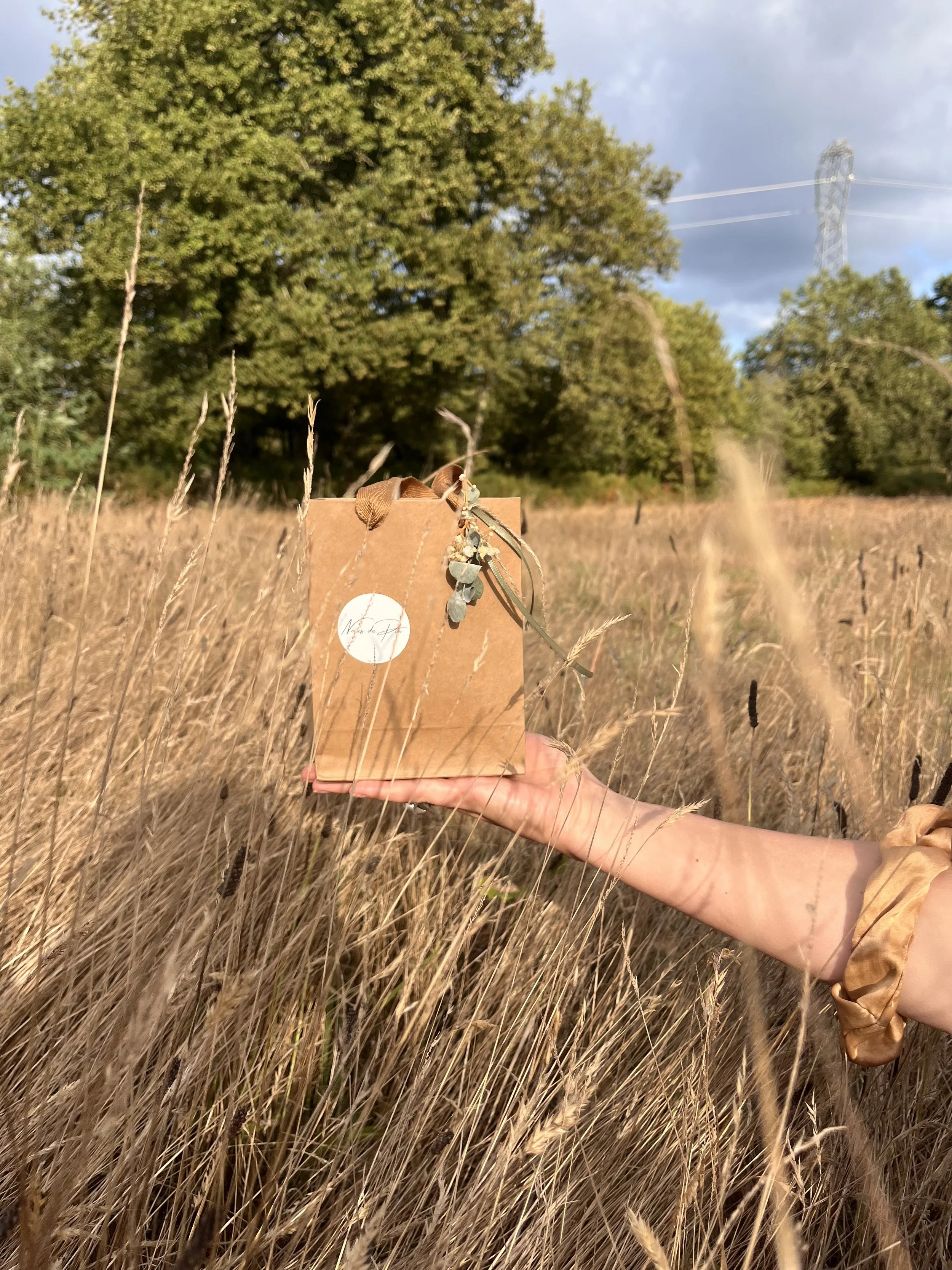 Une main tient un sac Noces de Pin dans une plaine de hautes herbes, avec un paysage landais. Sac disponible pour l'achat d'accessoires en boutique.