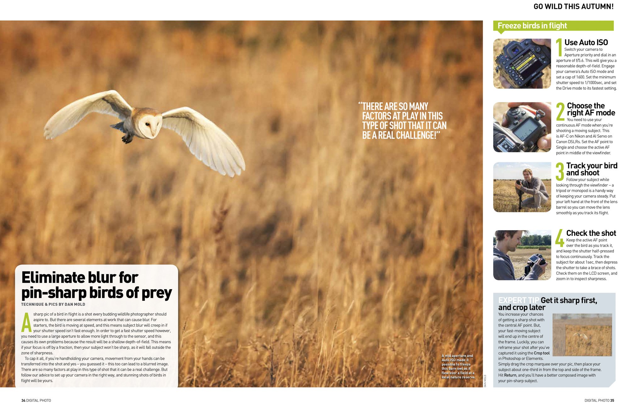 A spread from Digital Photo magazine's 'Go Wild This Autumn' feature. The fifth and final spread is about how to photograph owls and pictures a barn owl flying over a field towards the camera.