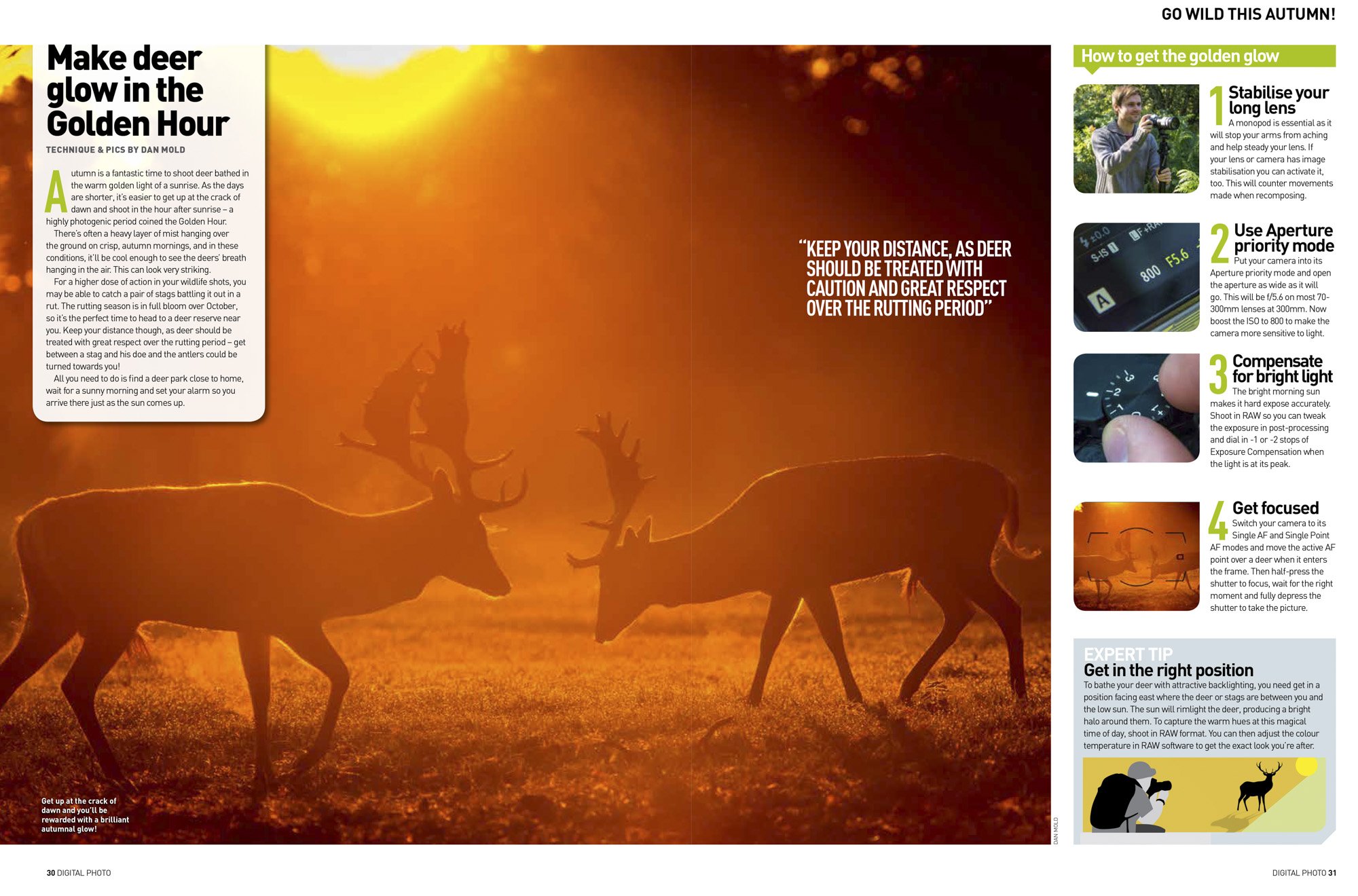 A spread from Digital Photo magazine's 'Go Wild This Autumn' feature. This is the third spread which has tips for photographing red deer in the golden hour.