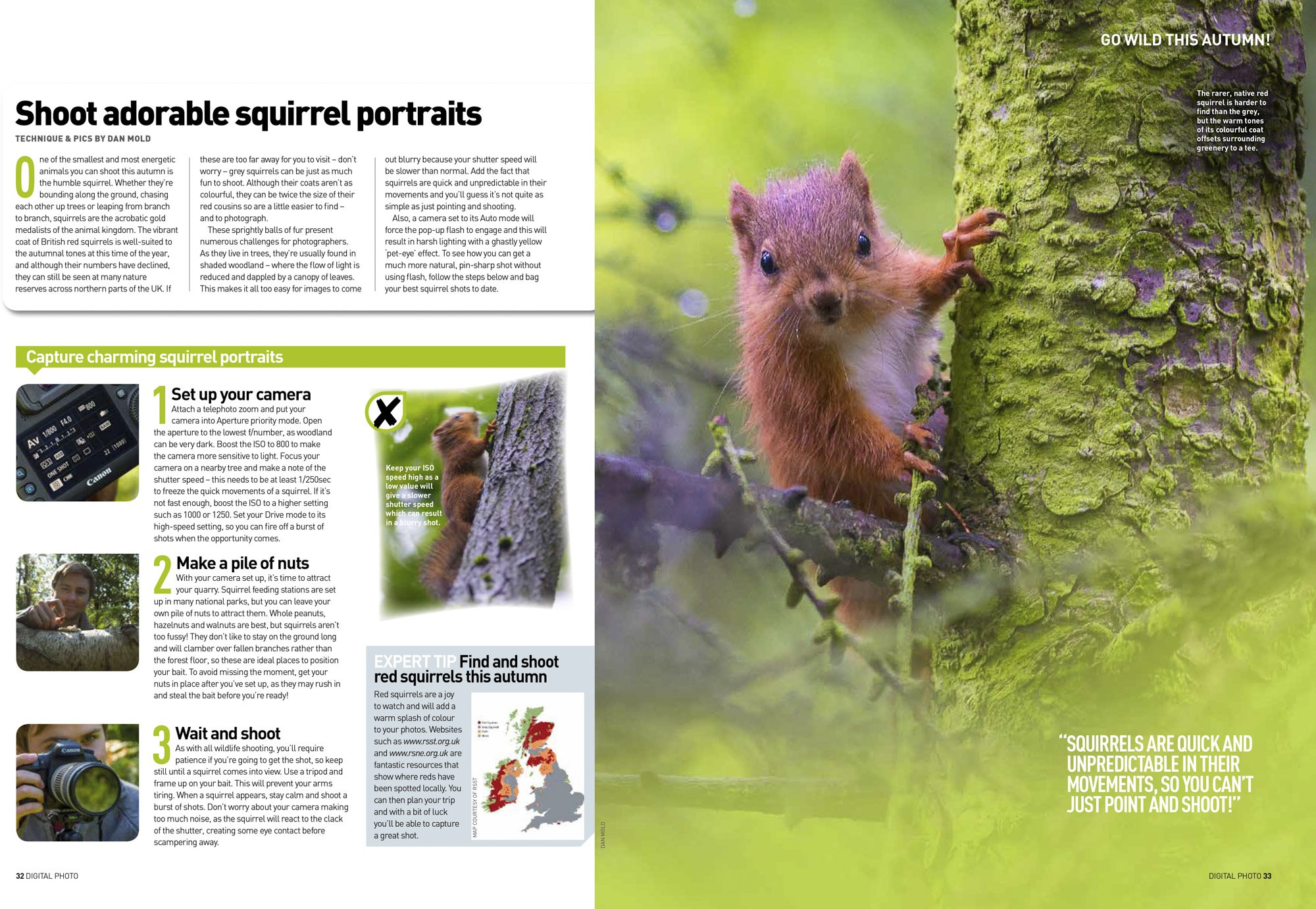 A spread from Digital Photo magazine's 'Go Wild This Autumn' feature. This is the fourth spread which has tips on where and how to photograph British red squirrels in the UK.