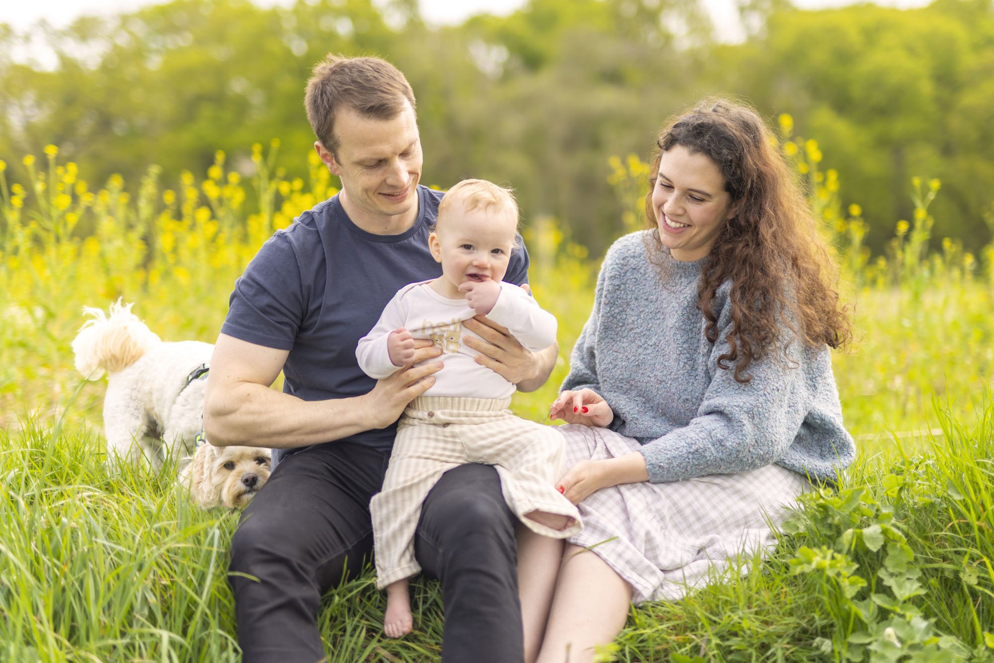 A family are pictured on a summer day sat in a field with yellow mustard seed flowers behind them. The scene shows a mother, father and their baby boy sat on the fathers lap. Their dog is also trying to get into the group photo from behind the father