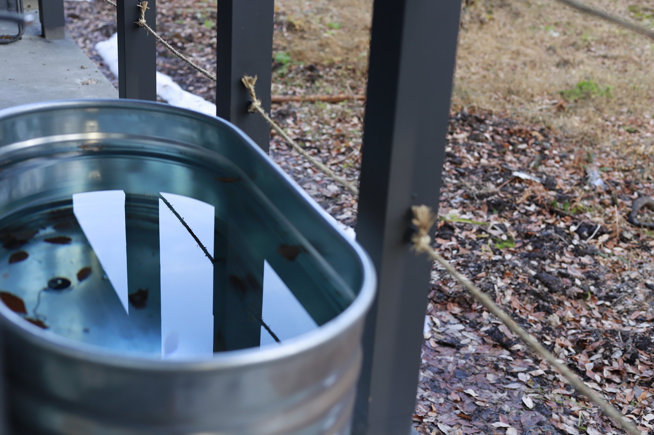 森と熱がひとつになるコンテナサウナ〈春以降オープン予定〉