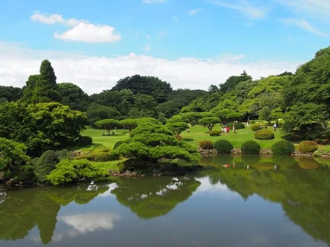 shinjukugyoen1.jpg
