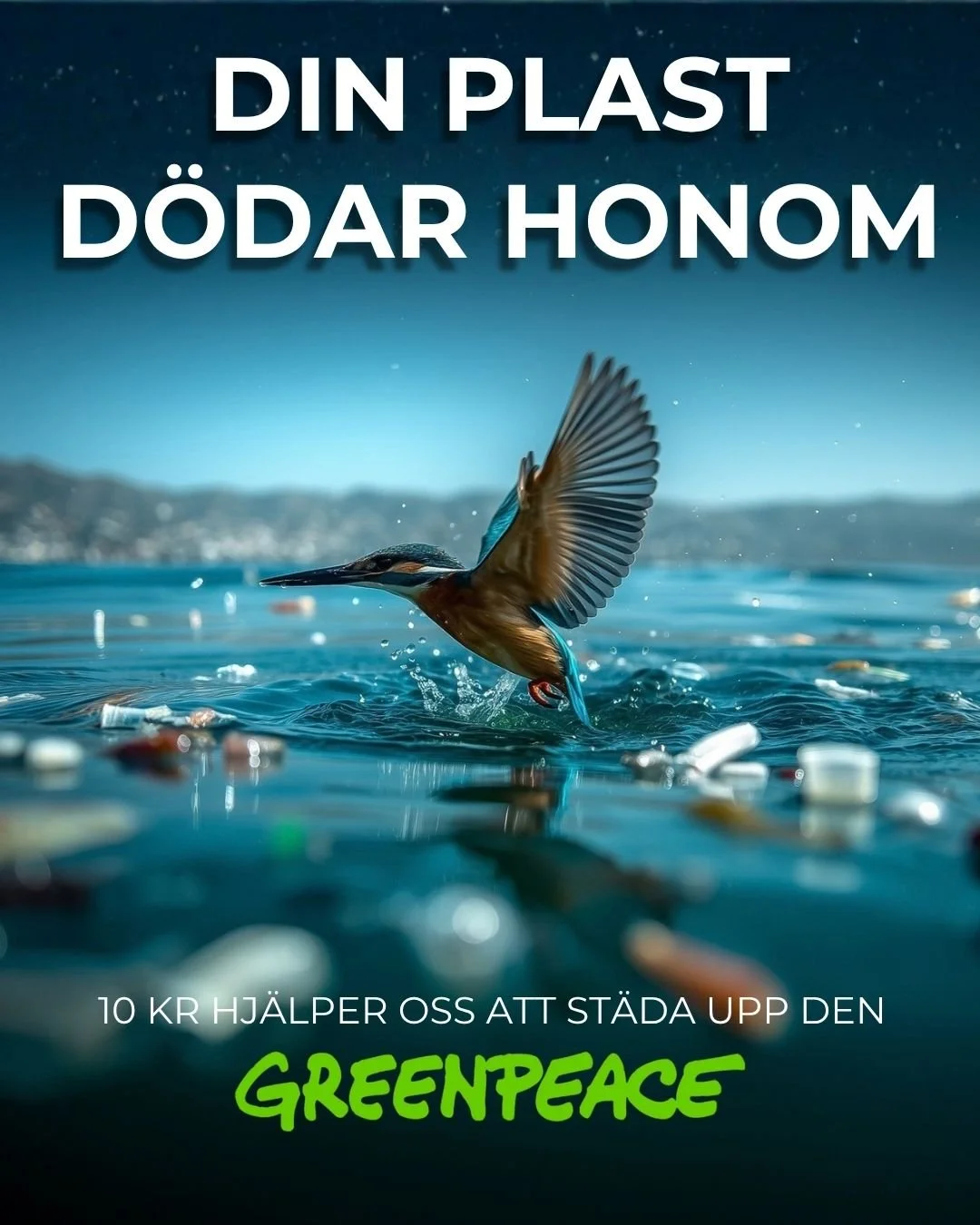 Jag valde att skapa en kampanj för Greenpeace med fokus på plastföroreningar i våra nordiska vatten. "Kungsfiskaren"