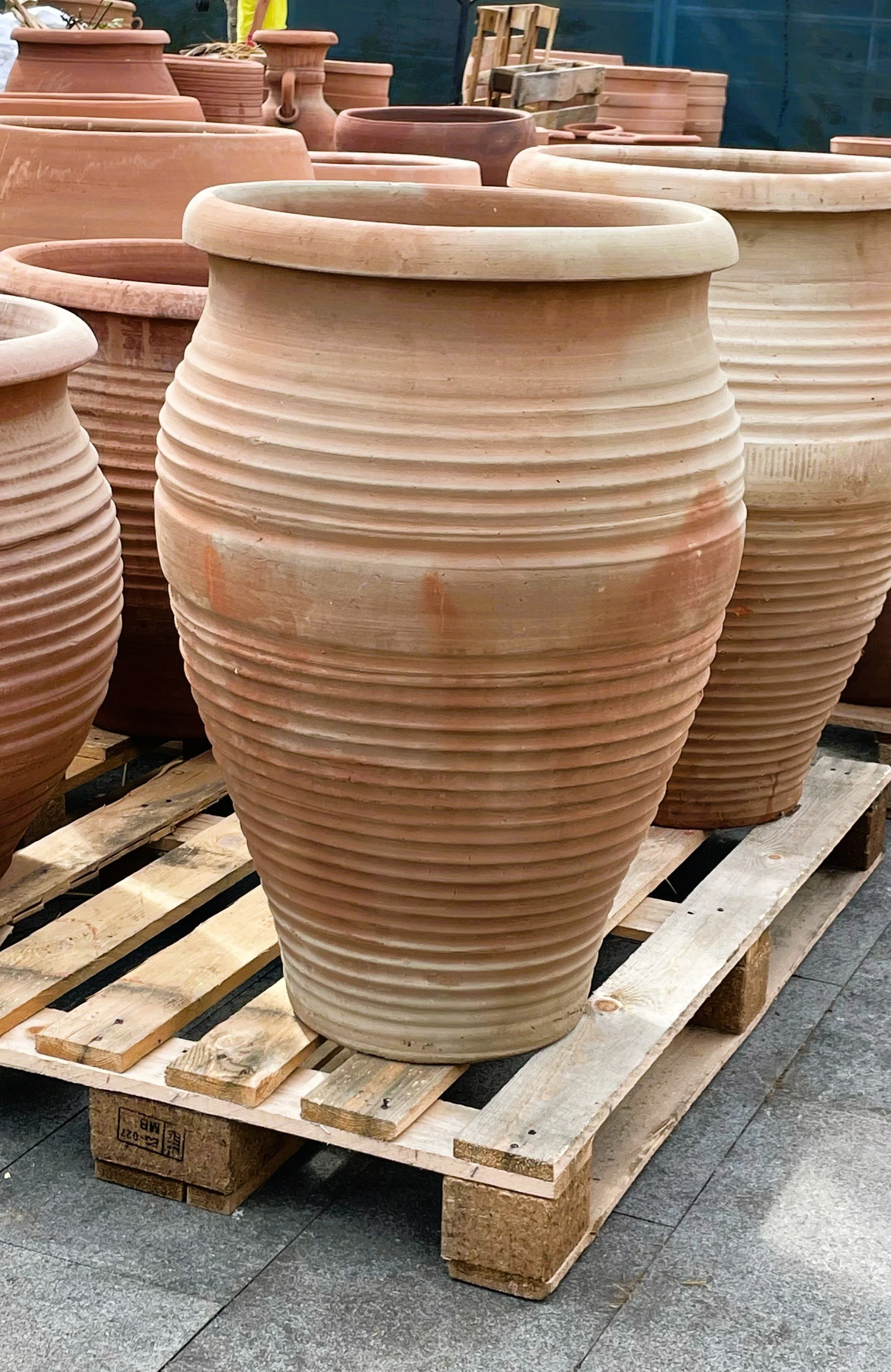 Extra Large Spiral Ali Baba Jar