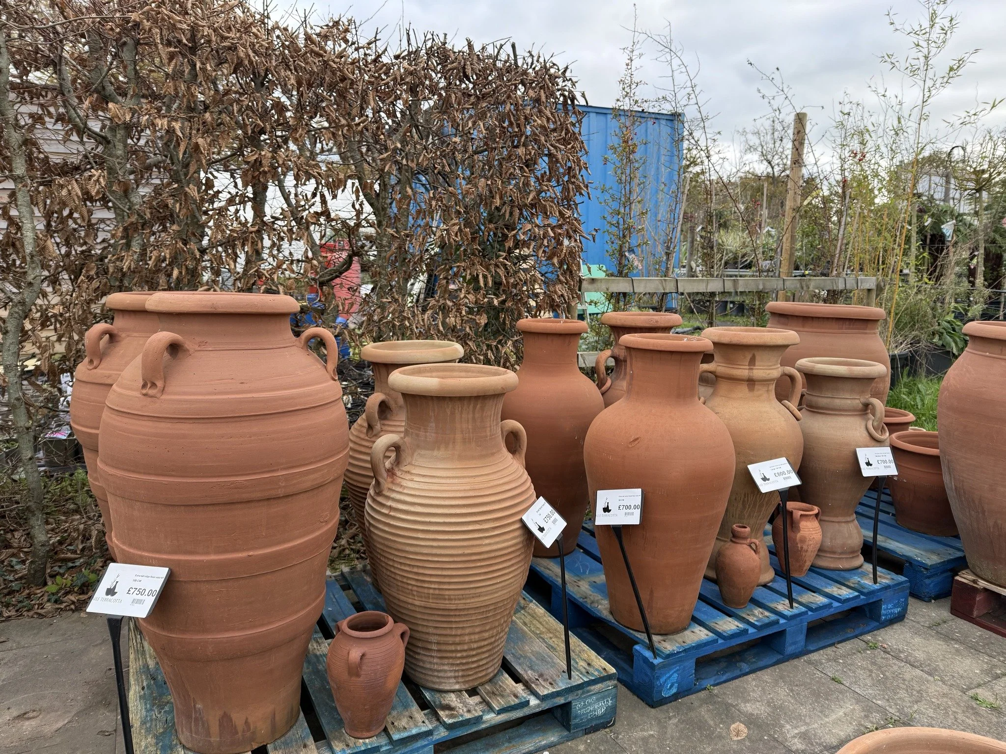 Nile Terracotta pots for sale on display, set against a backdrop of leafless trees and a cloudy sky.