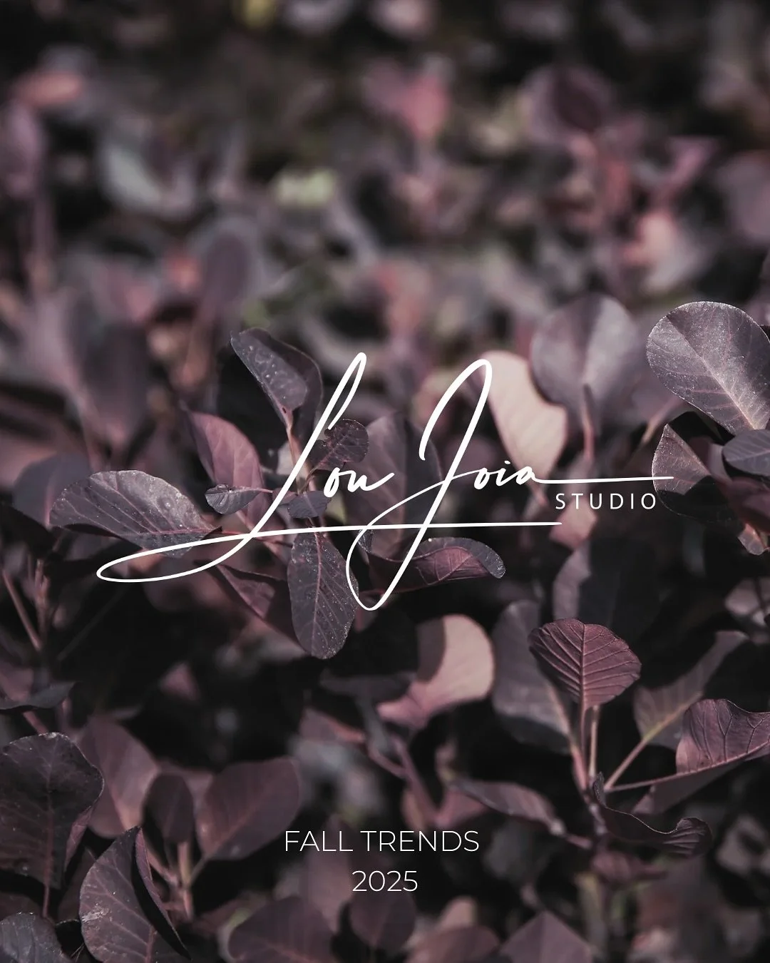 🍂🍁🍃 This fall season is all about deep earthy tones, cocooning textures and moody elegance. Think: plum, forest hues, plush fabrics, sculptural lighting and nature inspired accents. #fall #falltrends #interiordesign