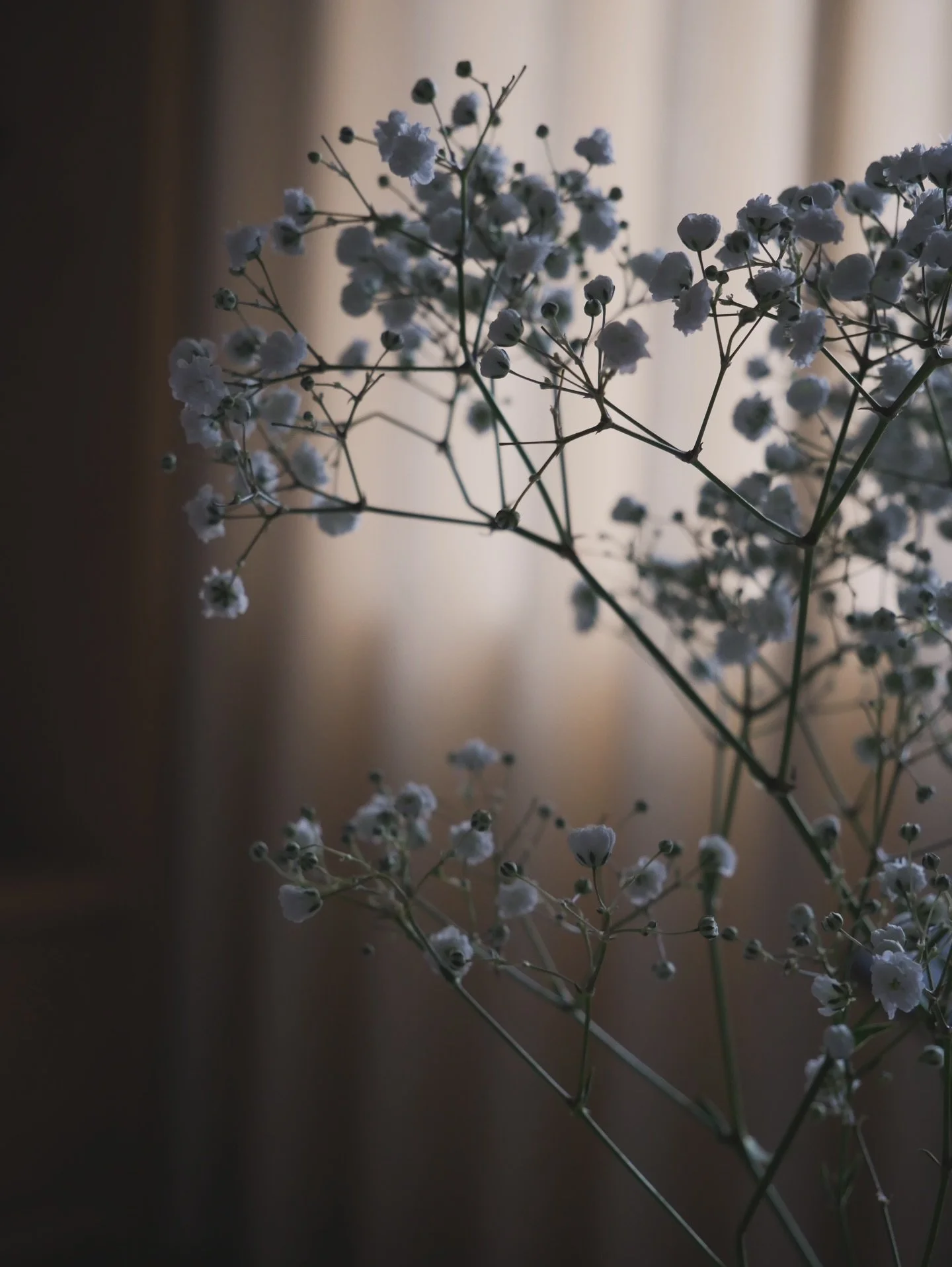Finding stillness #flower #interiordesign #japandi