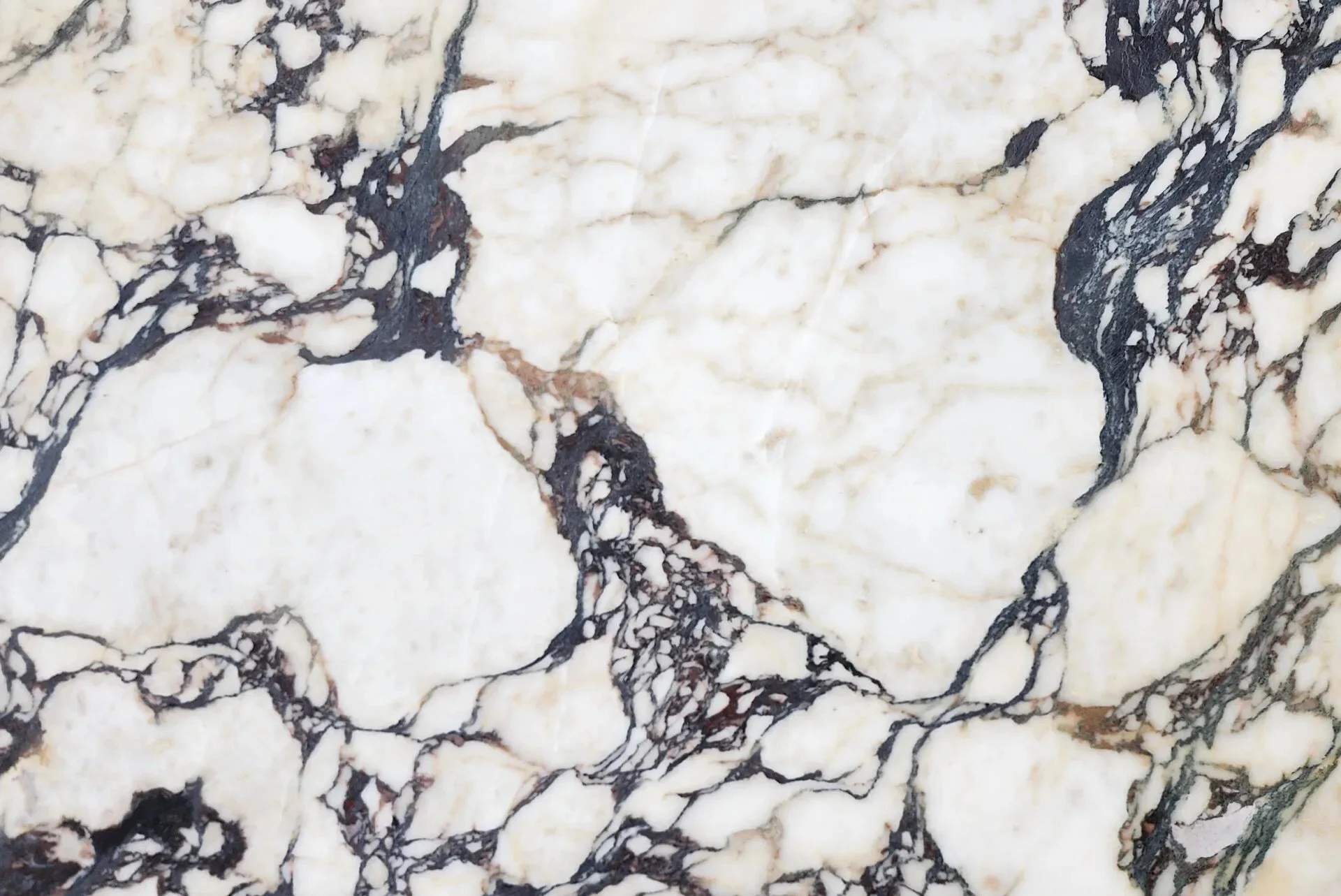 Calacatta-Viola-Honed-Closeup-2 2.jpeg