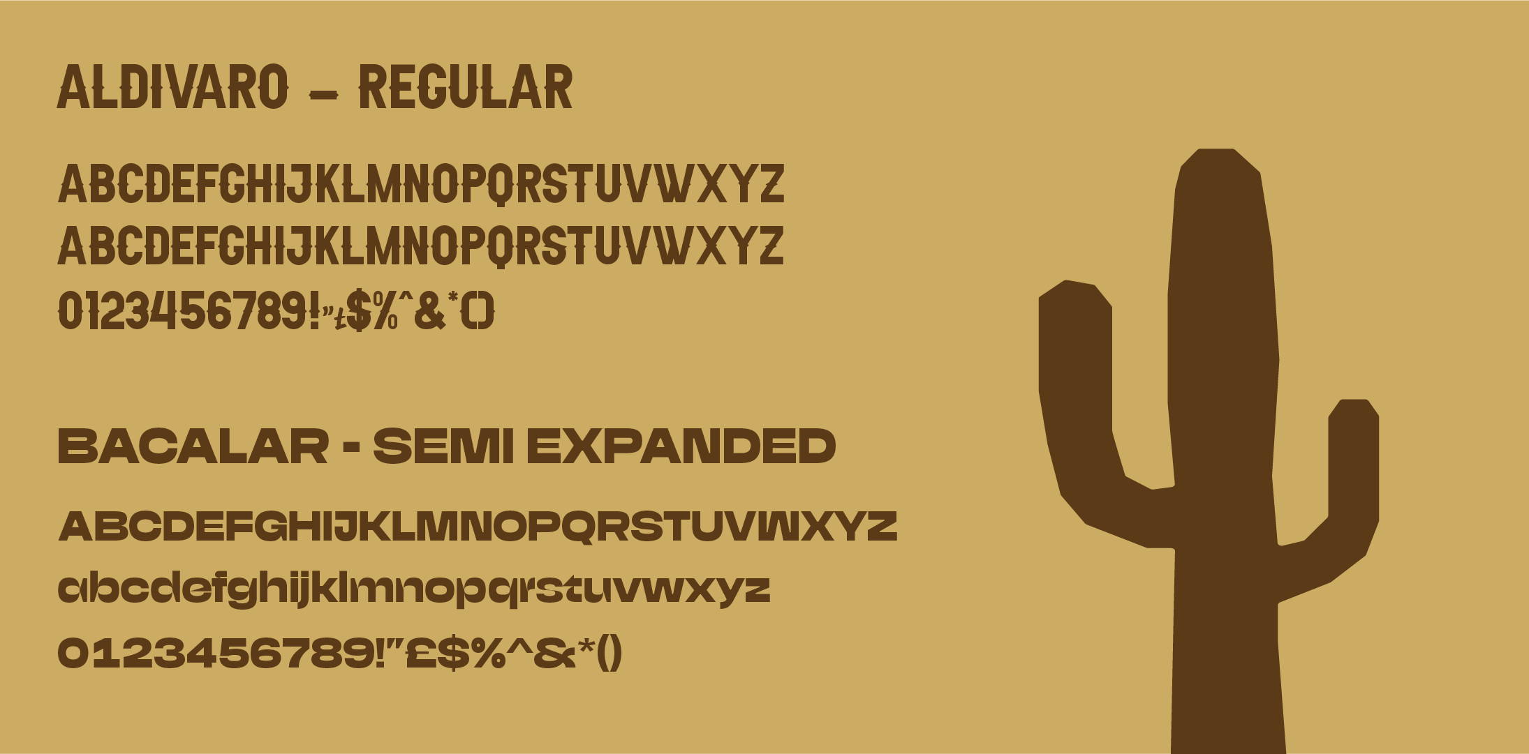 A display of two fonts: Aldivaro regular and Bacalar semi expanded, showing uppercase, lowercase, digits, and symbols, with a cactus illustration on the right side.