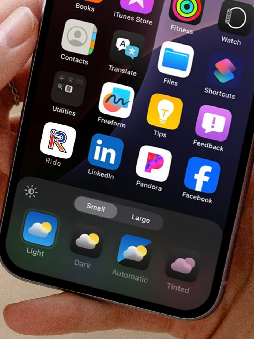 Close-up of a smartphone screen displaying app icons and weather theme options at the bottom.
