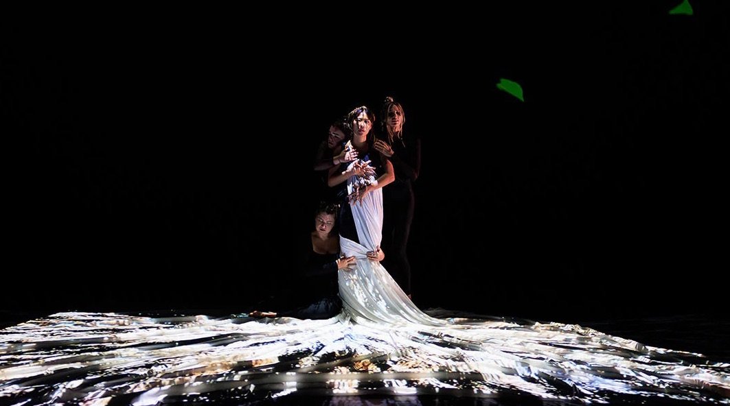 Sharon Chohi Kim’s Murmurations