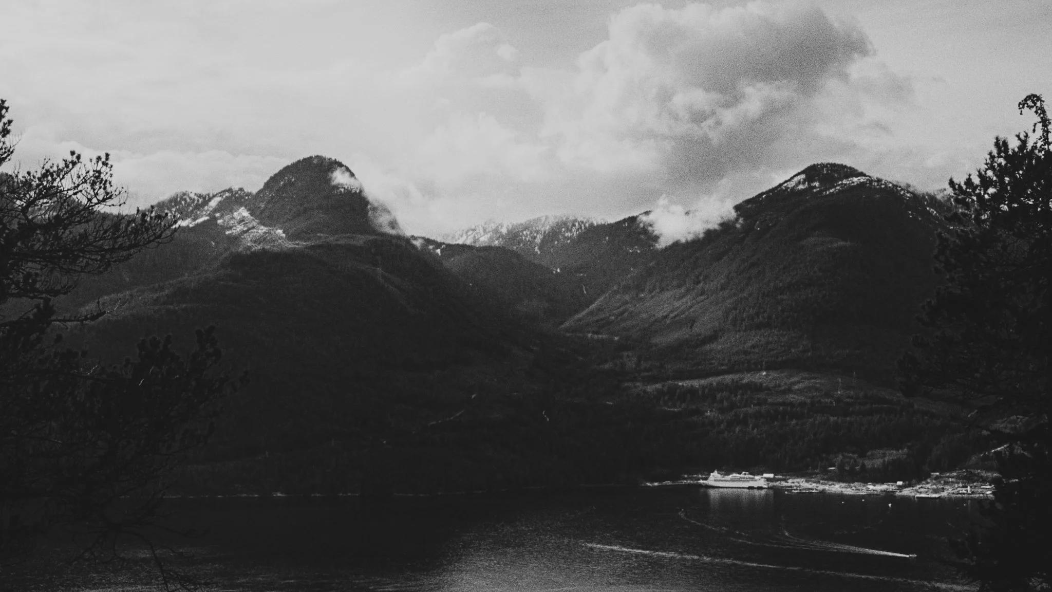 20250803-Still 2025-08-03 033535_1.1.1.jpg